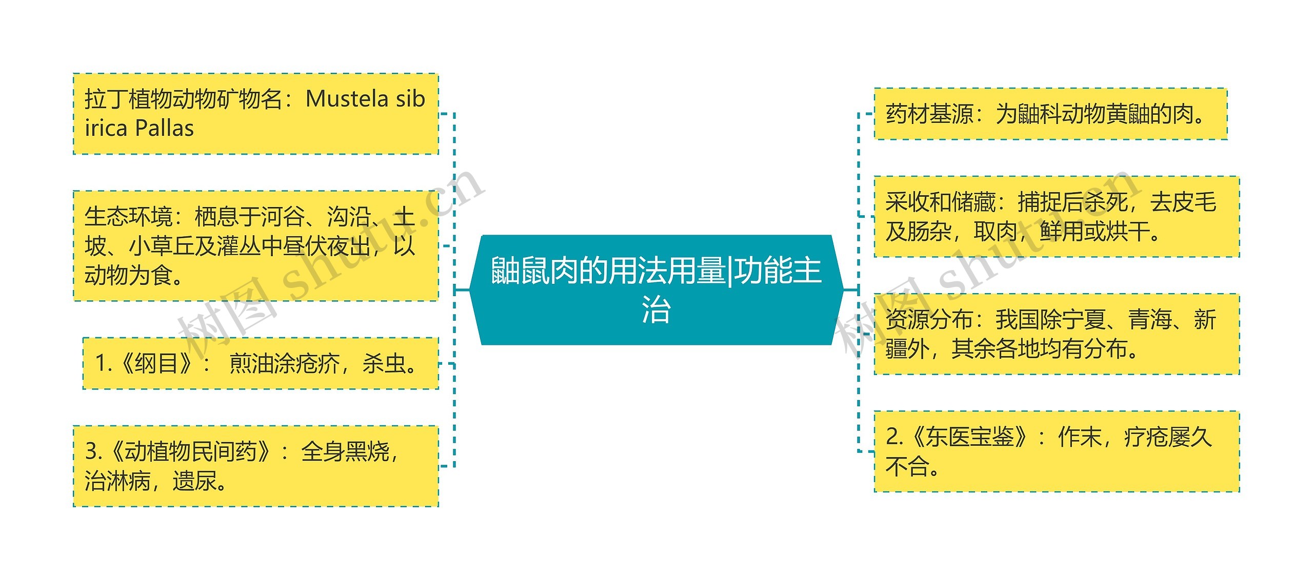 鼬鼠肉的用法用量|功能主治思维导图