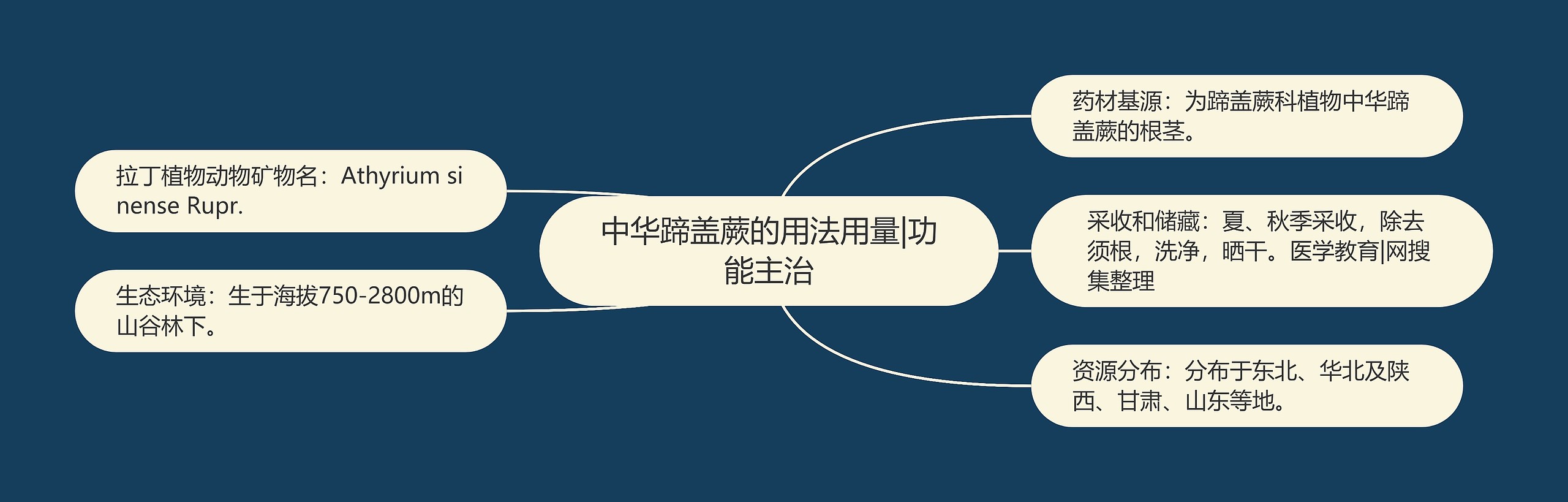 中华蹄盖蕨的用法用量|功能主治 中华蹄盖蕨的用法用量|功能主治