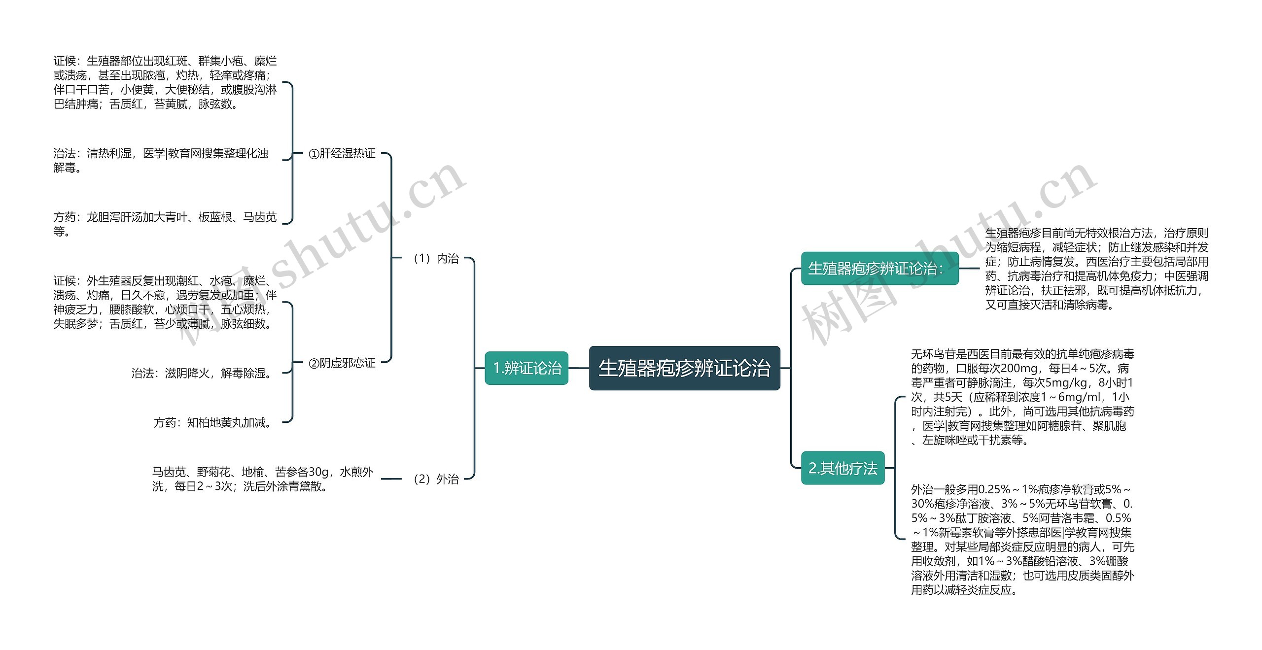 生殖器疱疹辨证论治思维导图