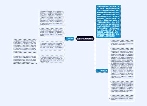 泌尿系统梗阻概论