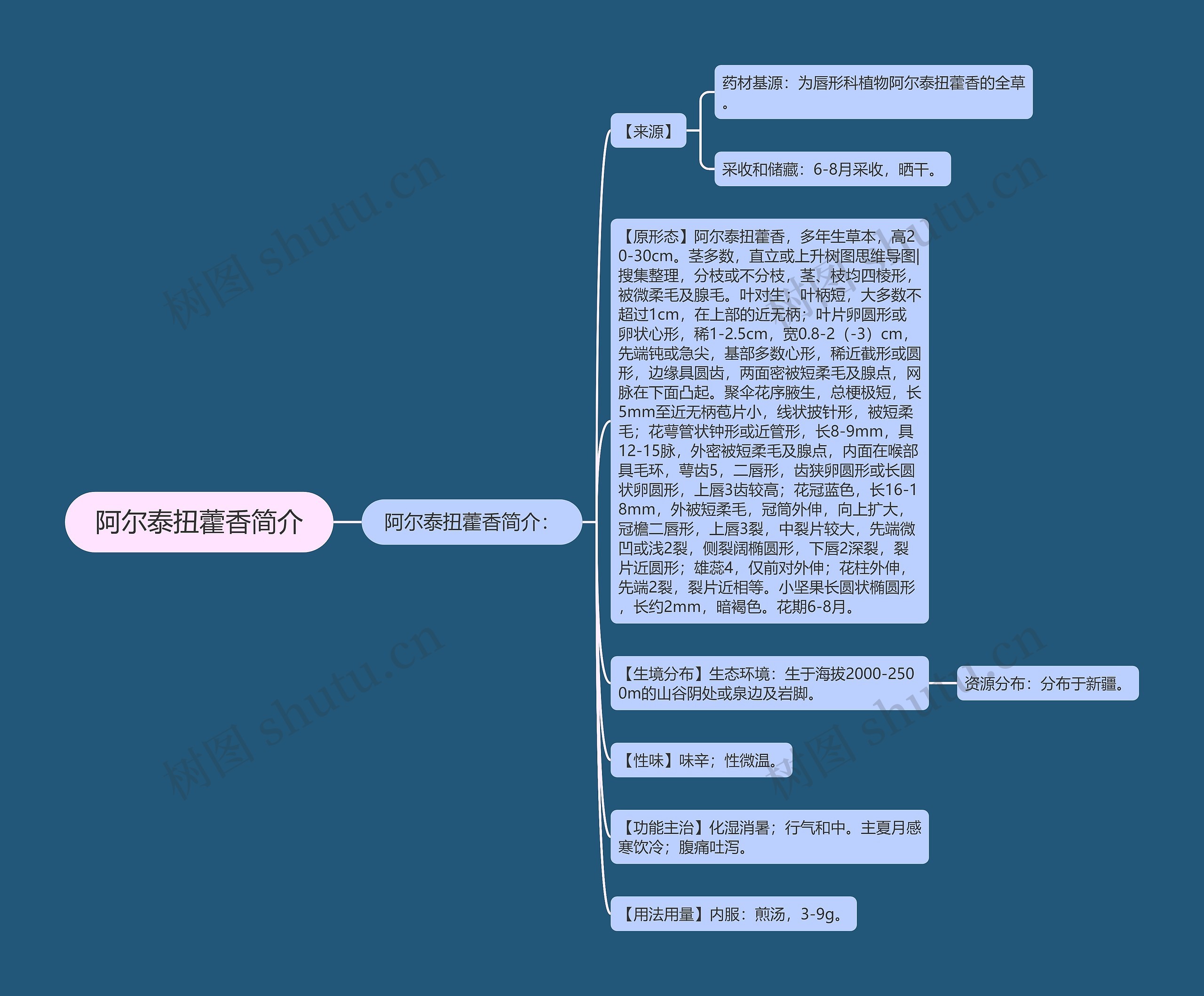 阿尔泰扭藿香简介