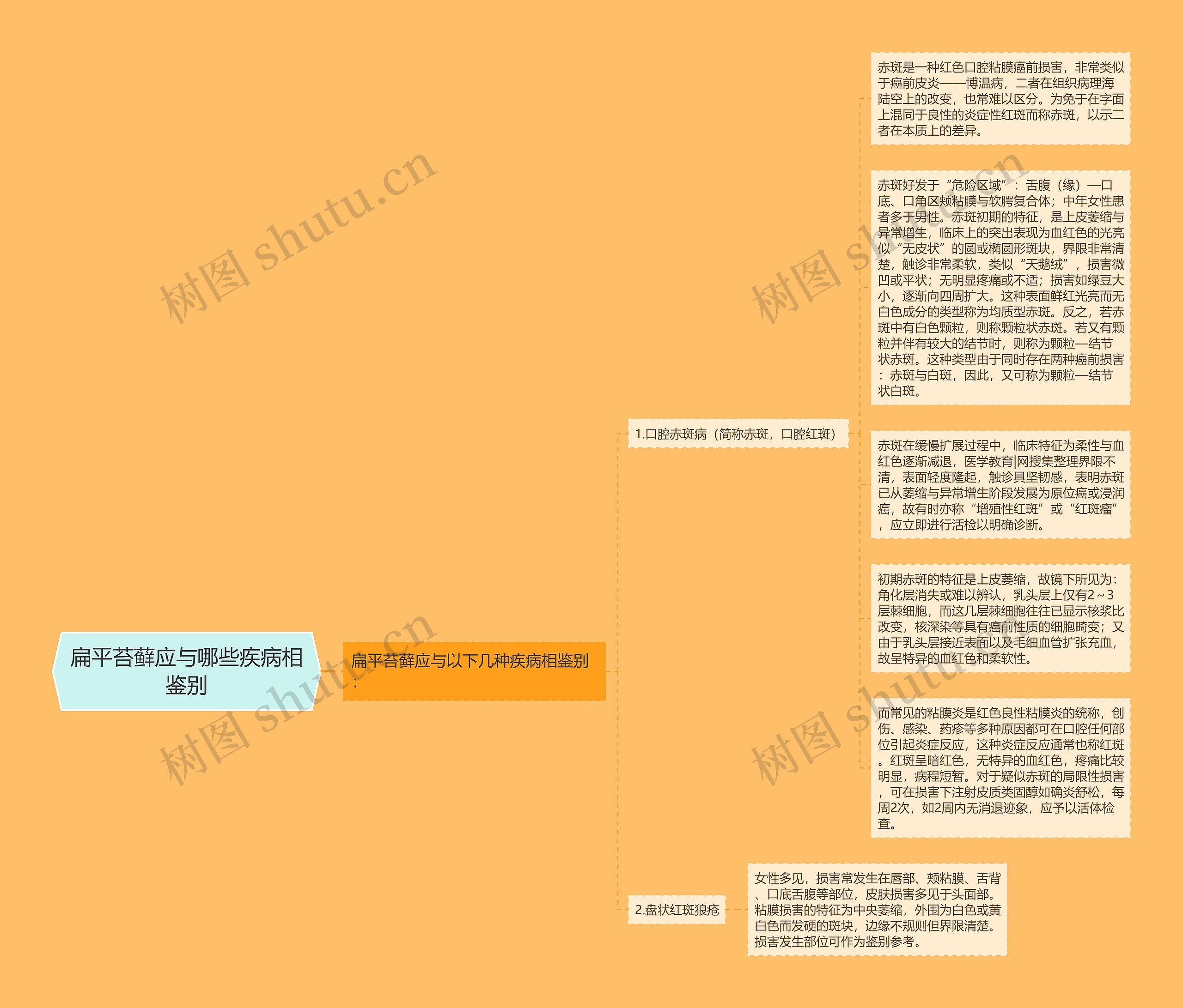 扁平苔藓应与哪些疾病相鉴别思维导图