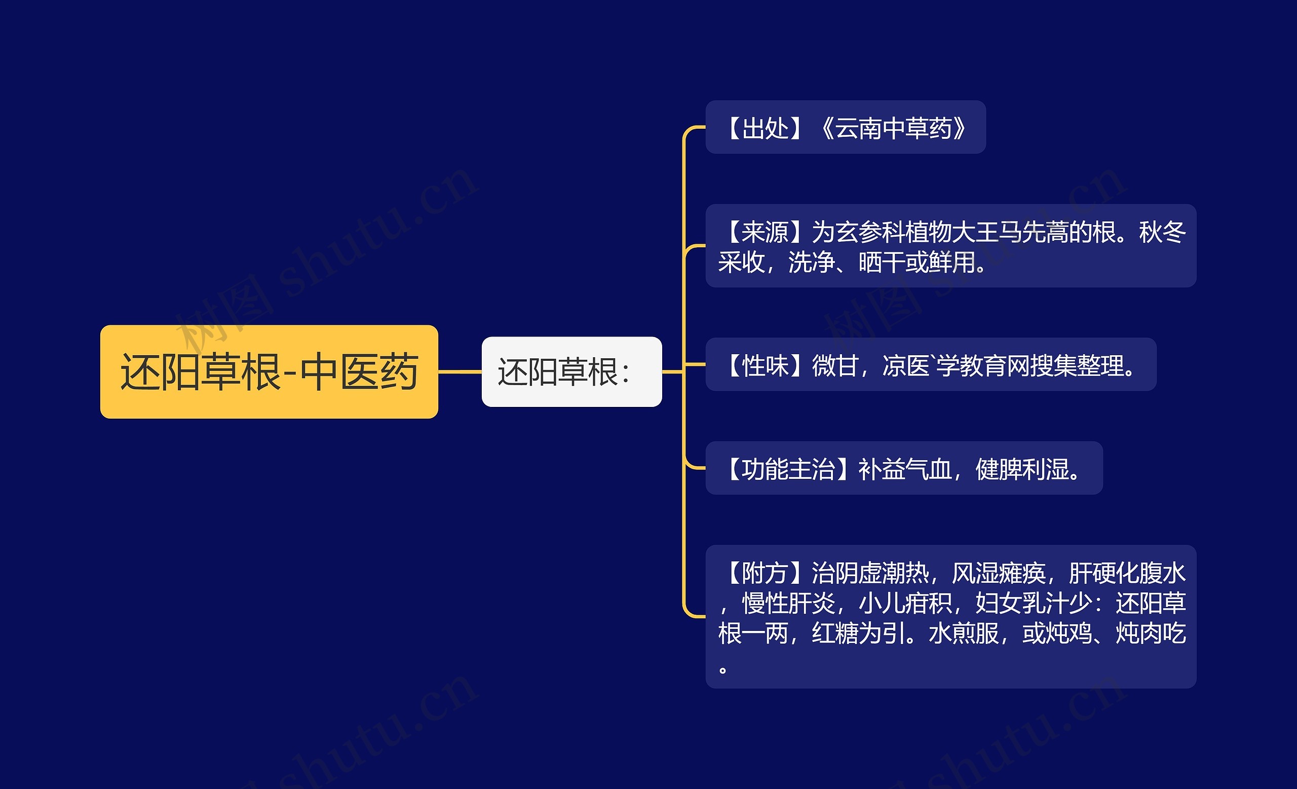 还阳草根-中医药思维导图