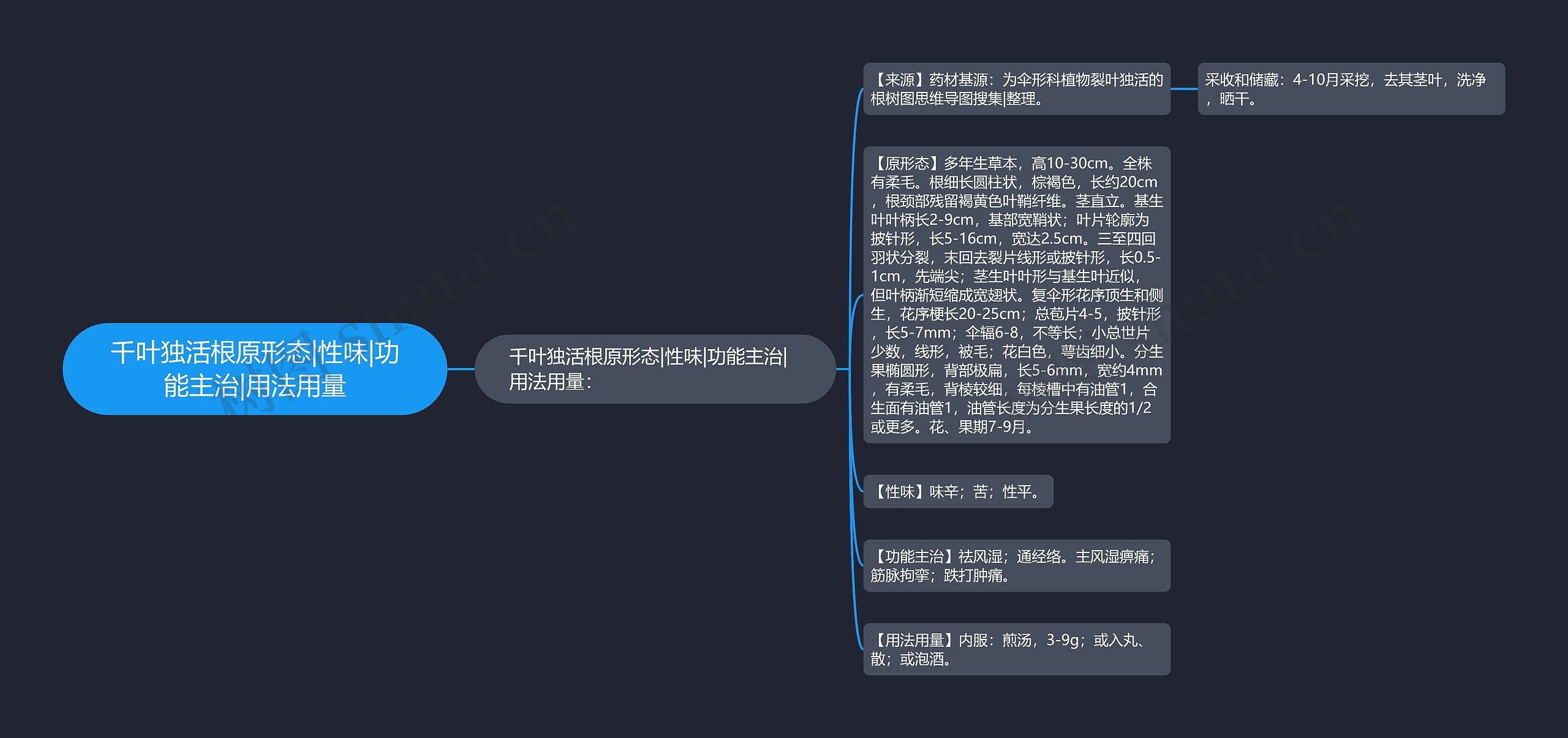 千叶独活根原形态|性味|功能主治|用法用量思维导图