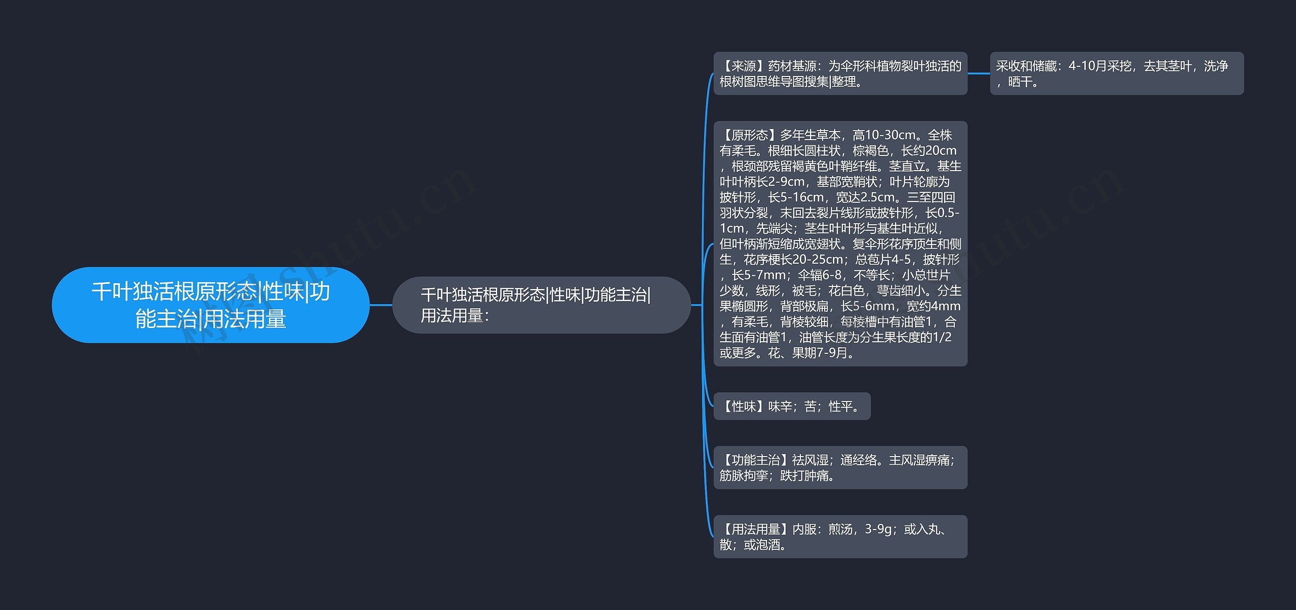 千叶独活根原形态|性味|功能主治|用法用量 千叶独活根原形态|性味|功能主治|用法用量