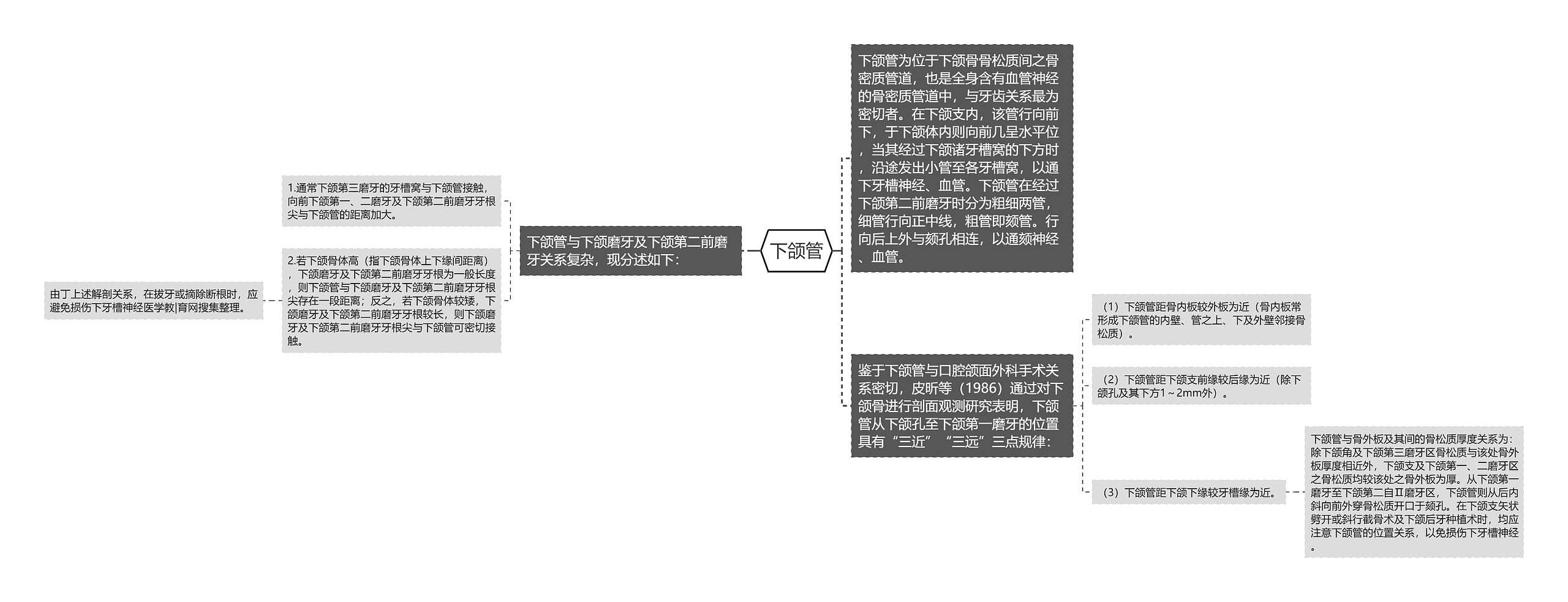 下颌管思维导图