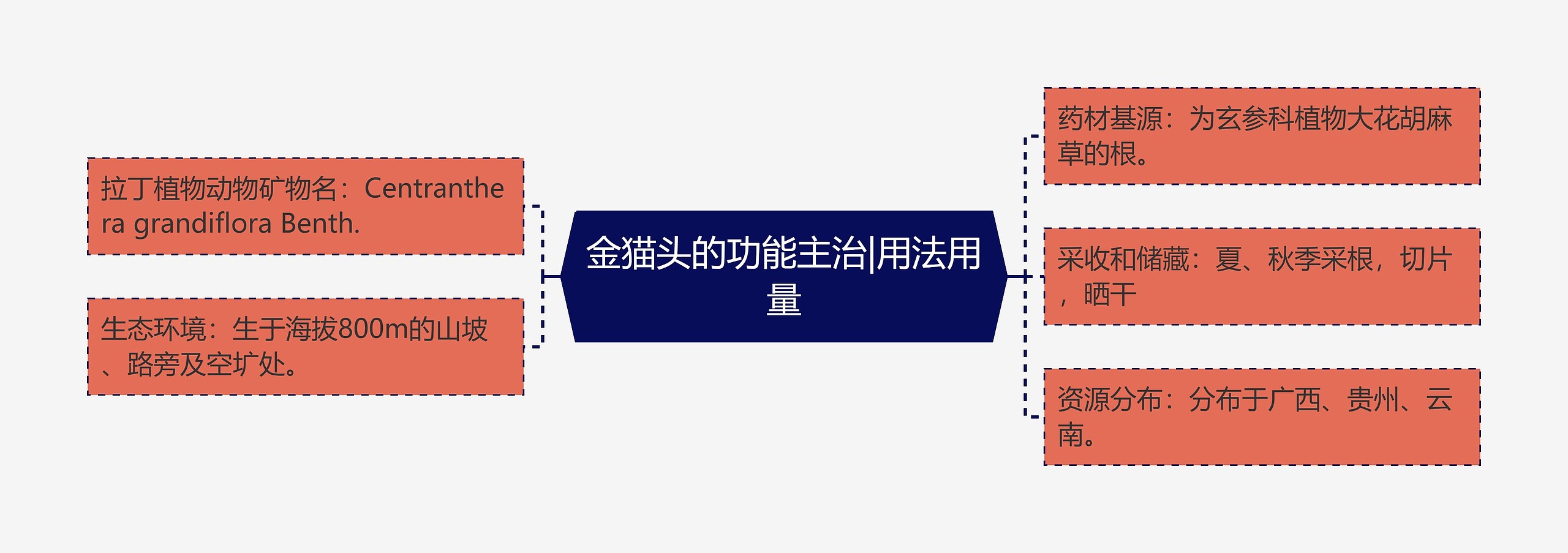 金猫头的功能主治|用法用量思维导图