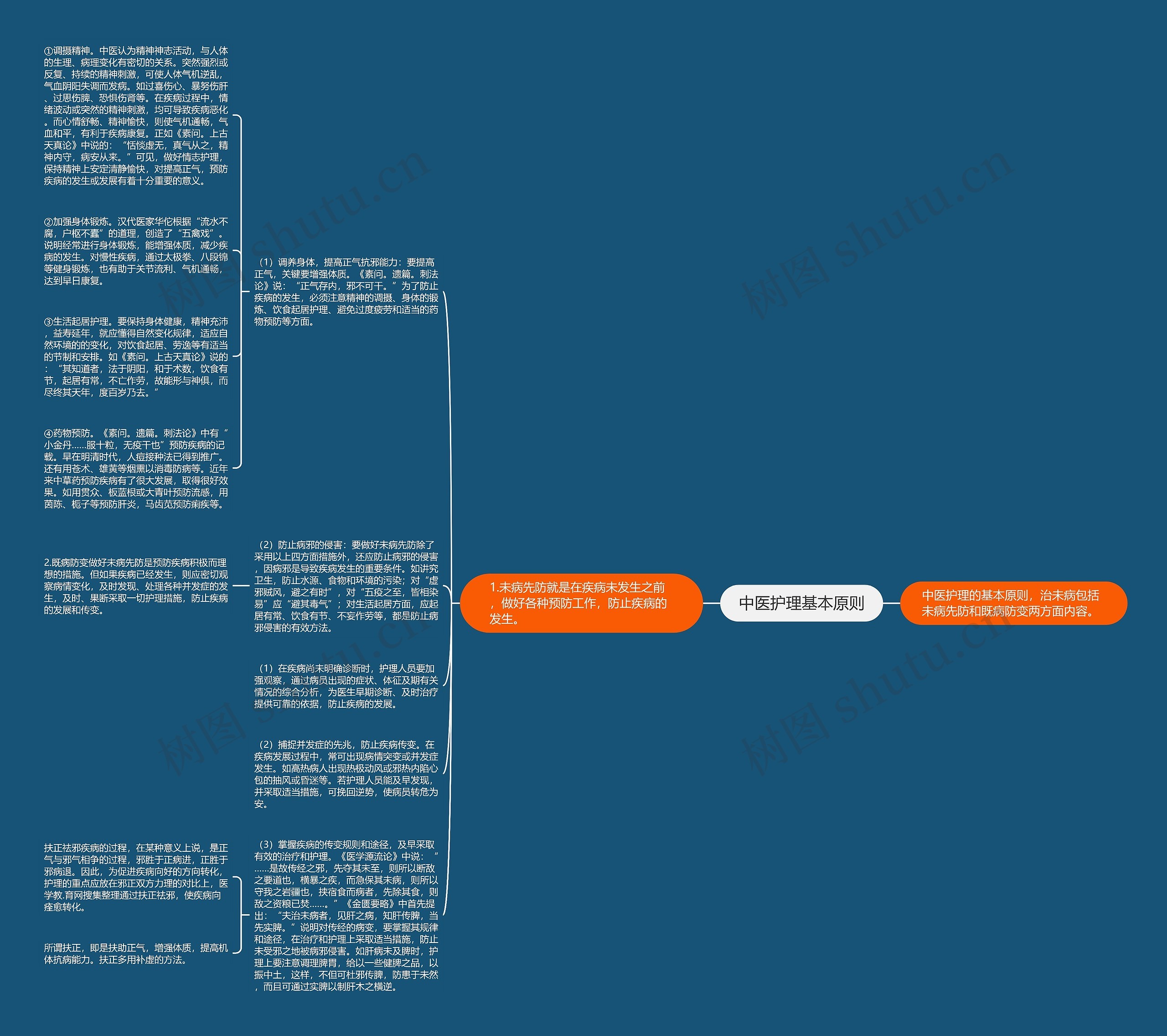 中医护理基本原则思维导图