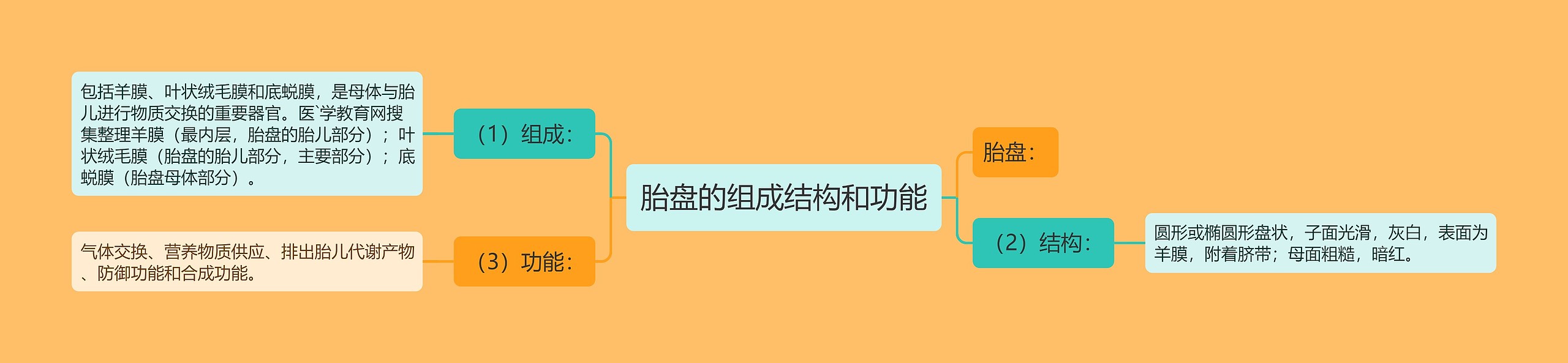 胎盘的组成结构和功能 胎盘的组成结构和功能