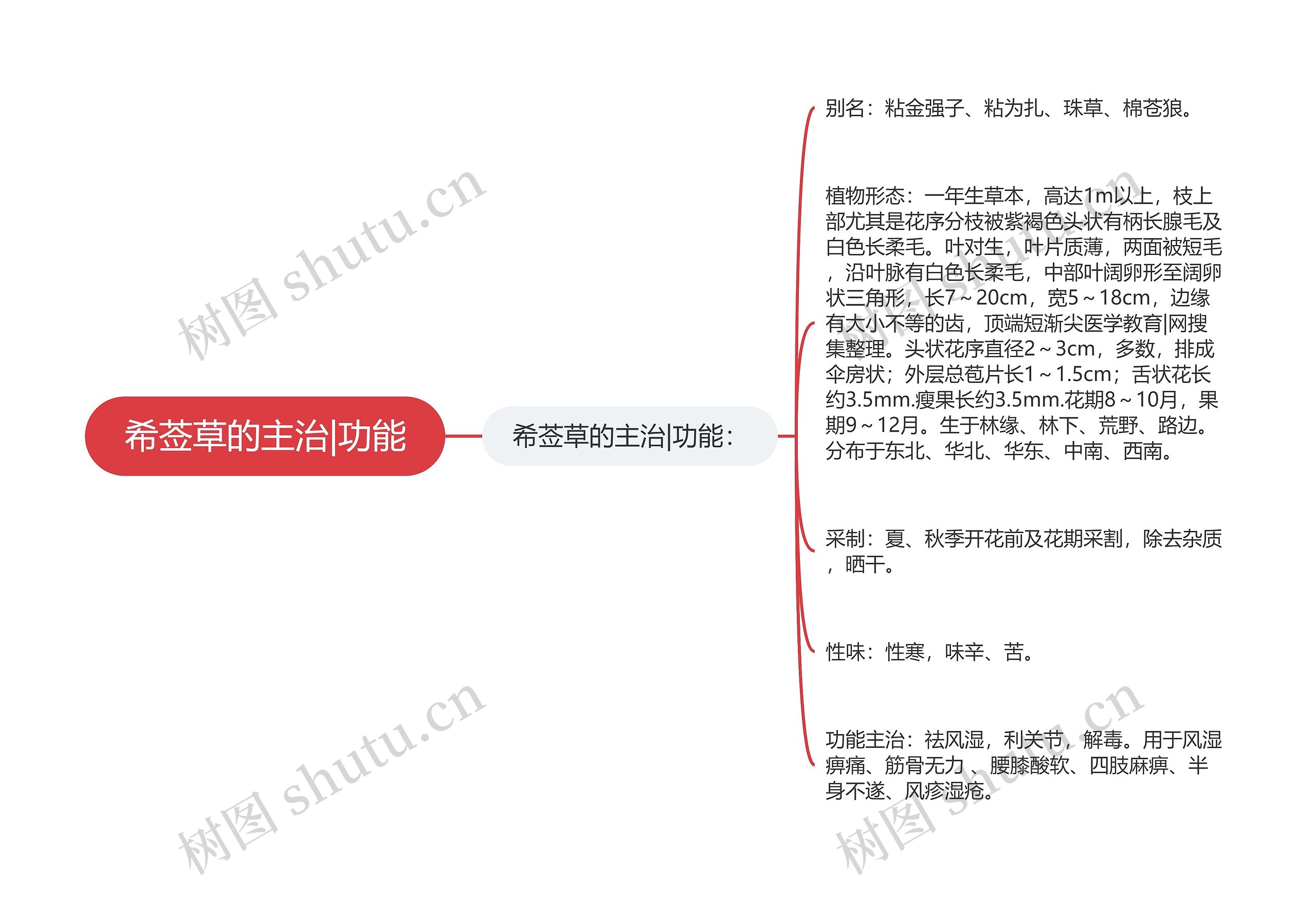 希莶草的主治|功能思维导图