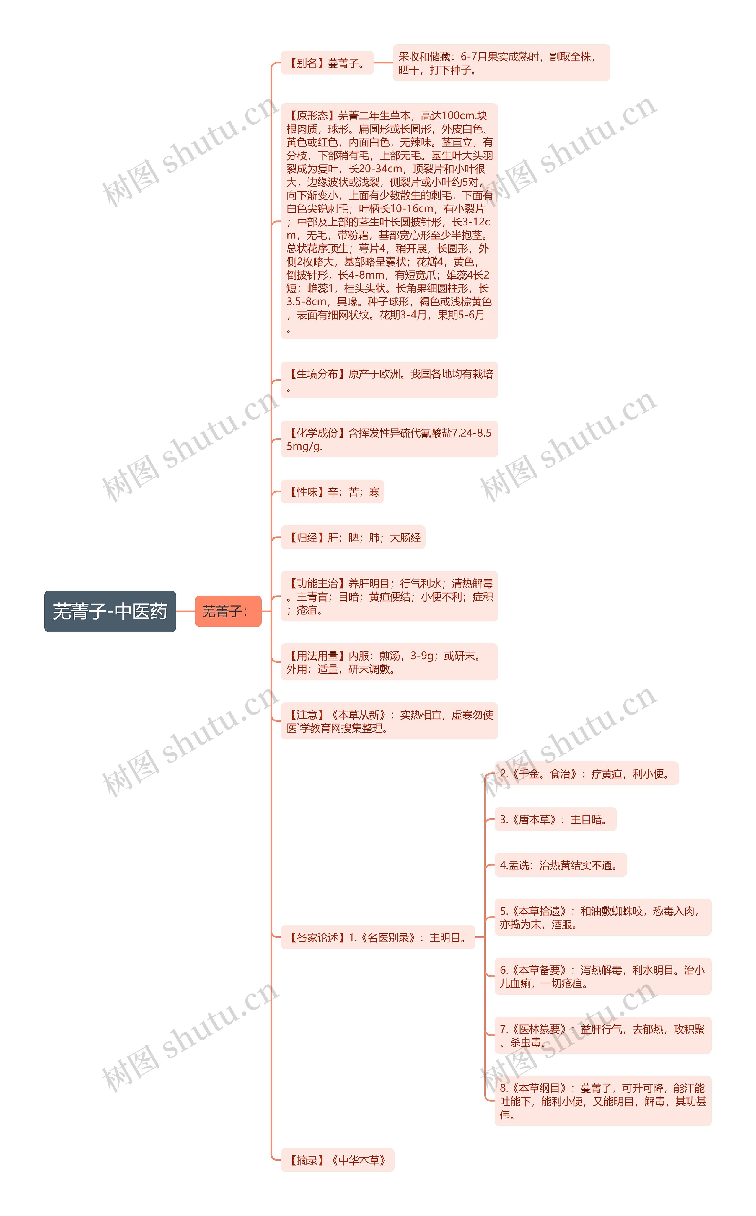 芜菁子-中医药思维导图