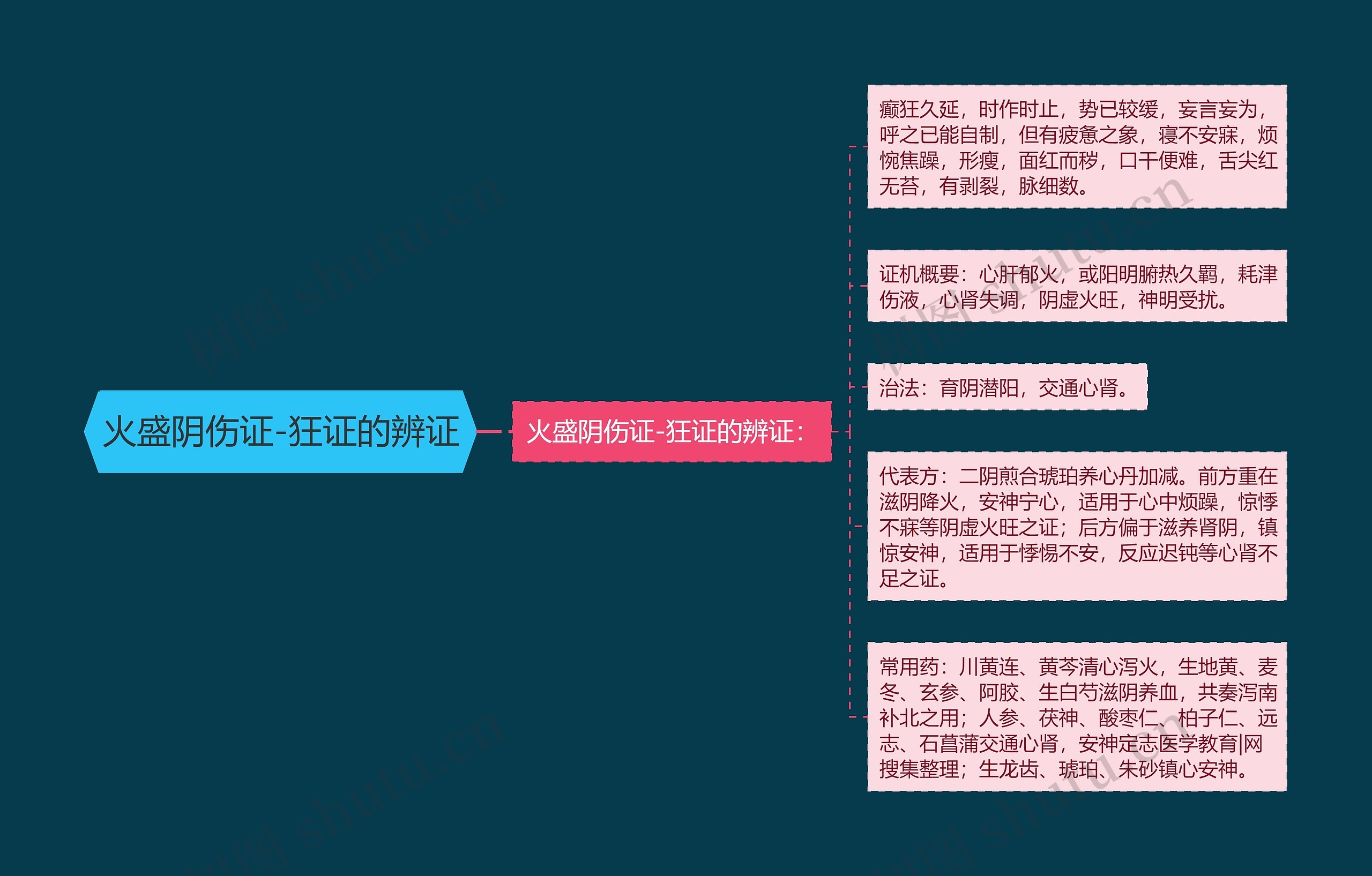 火盛阴伤证-狂证的辨证 火盛阴伤证-狂证的辨证