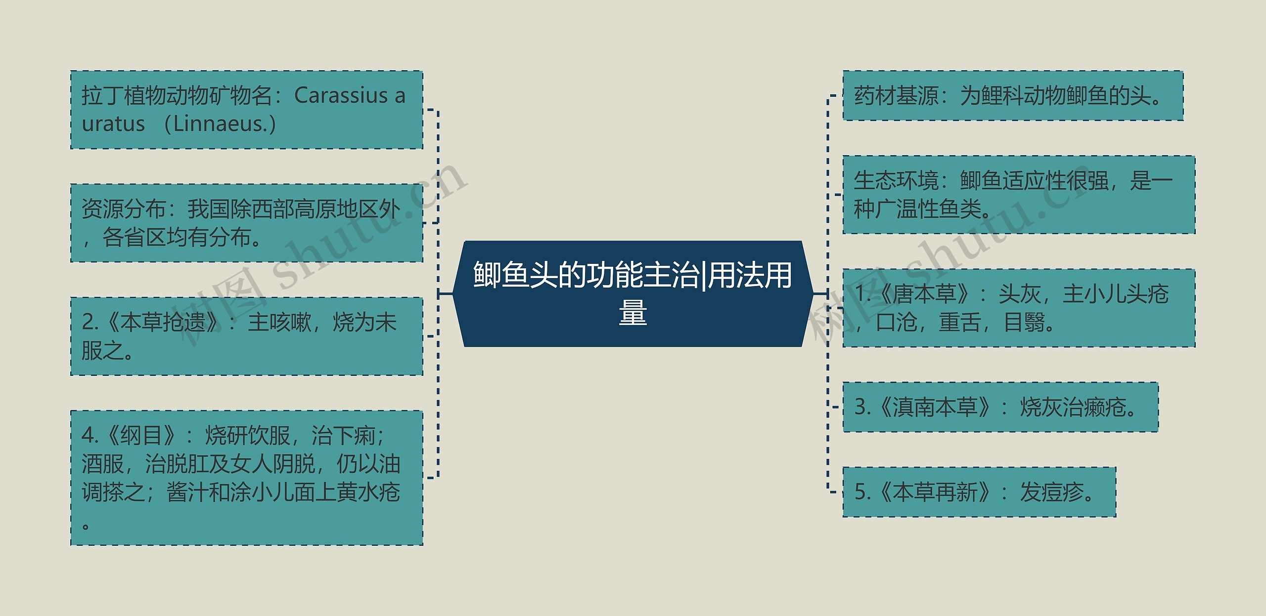 鲫鱼头的功能主治|用法用量思维导图