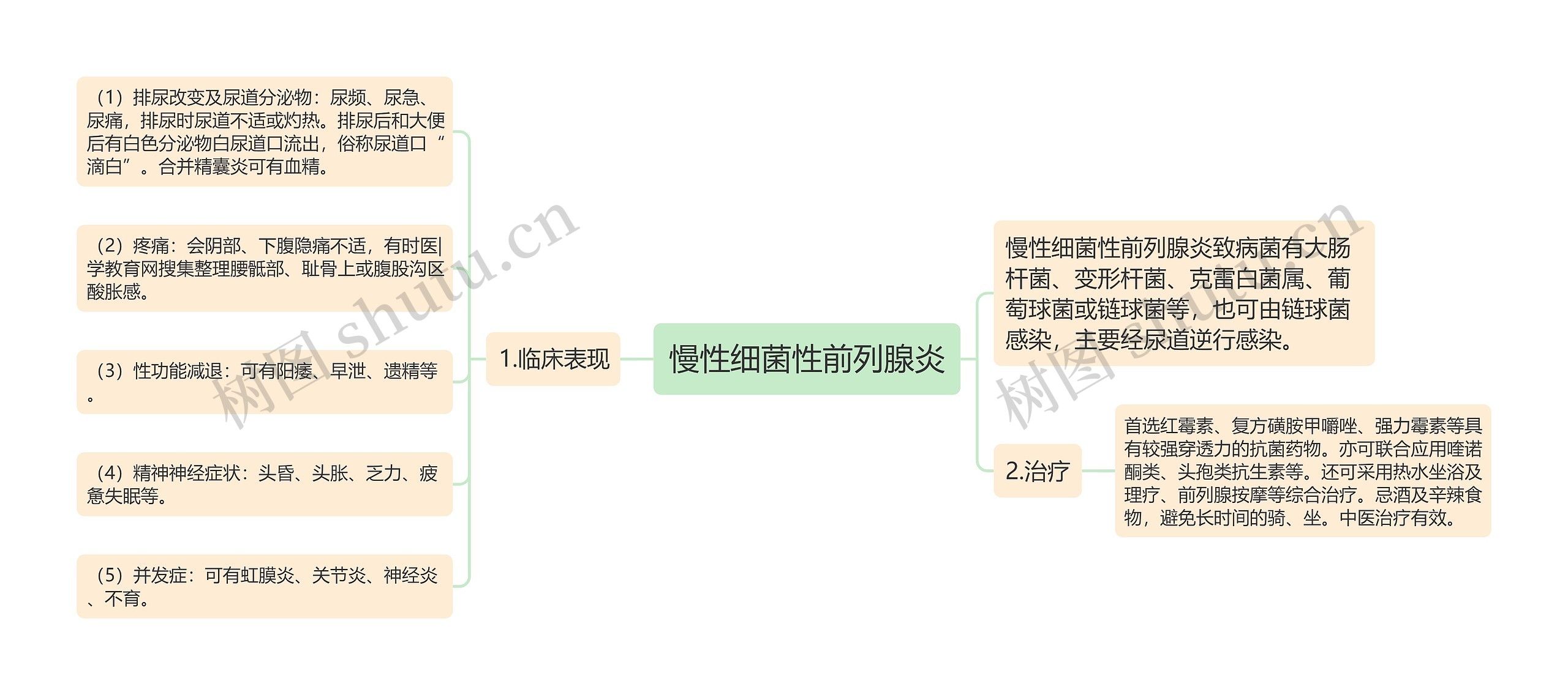 慢性细菌性前列腺炎 慢性细菌性前列腺炎