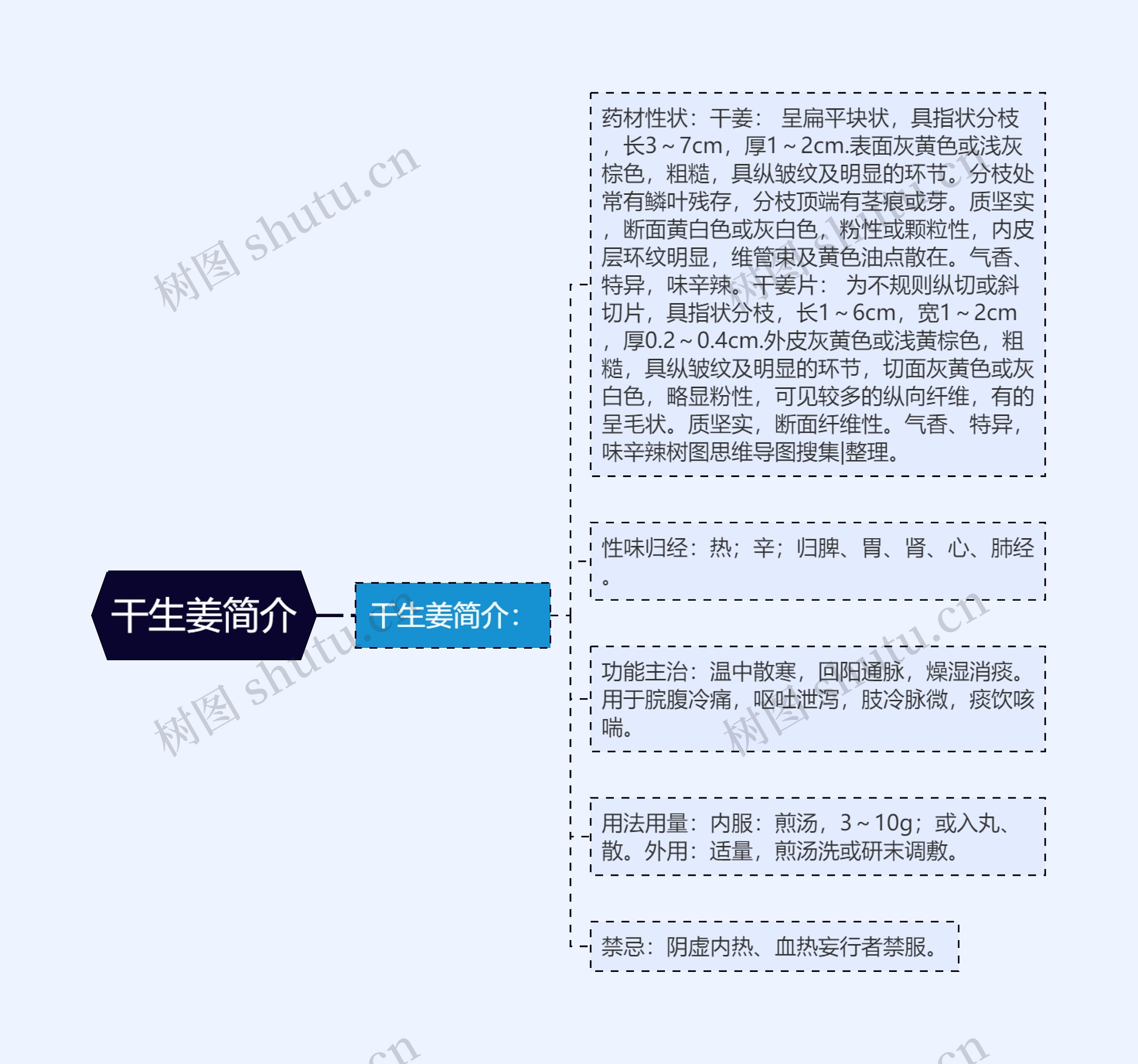 干生姜简介思维导图