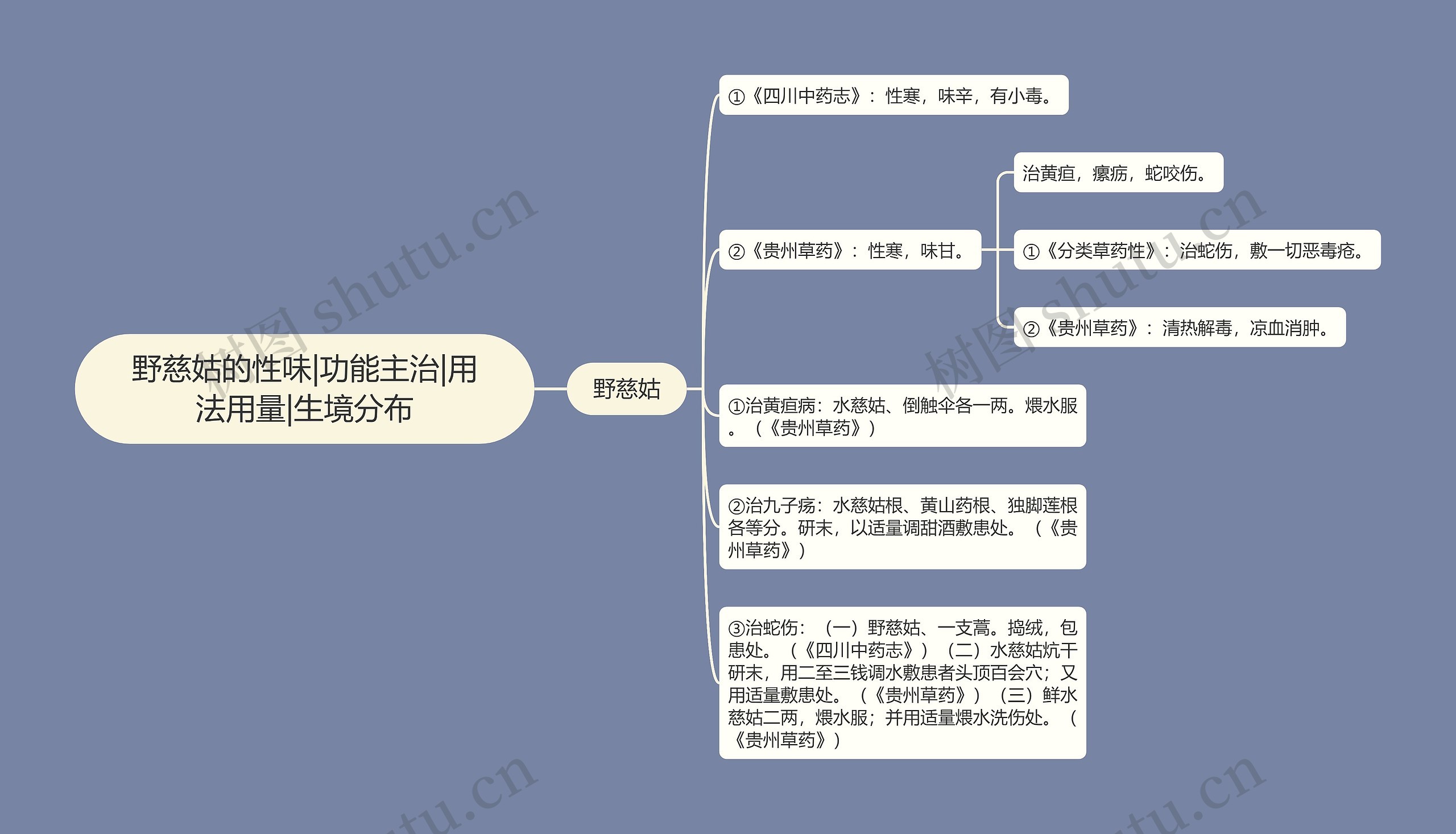 野慈姑的性味|功能主治|用法用量|生境分布