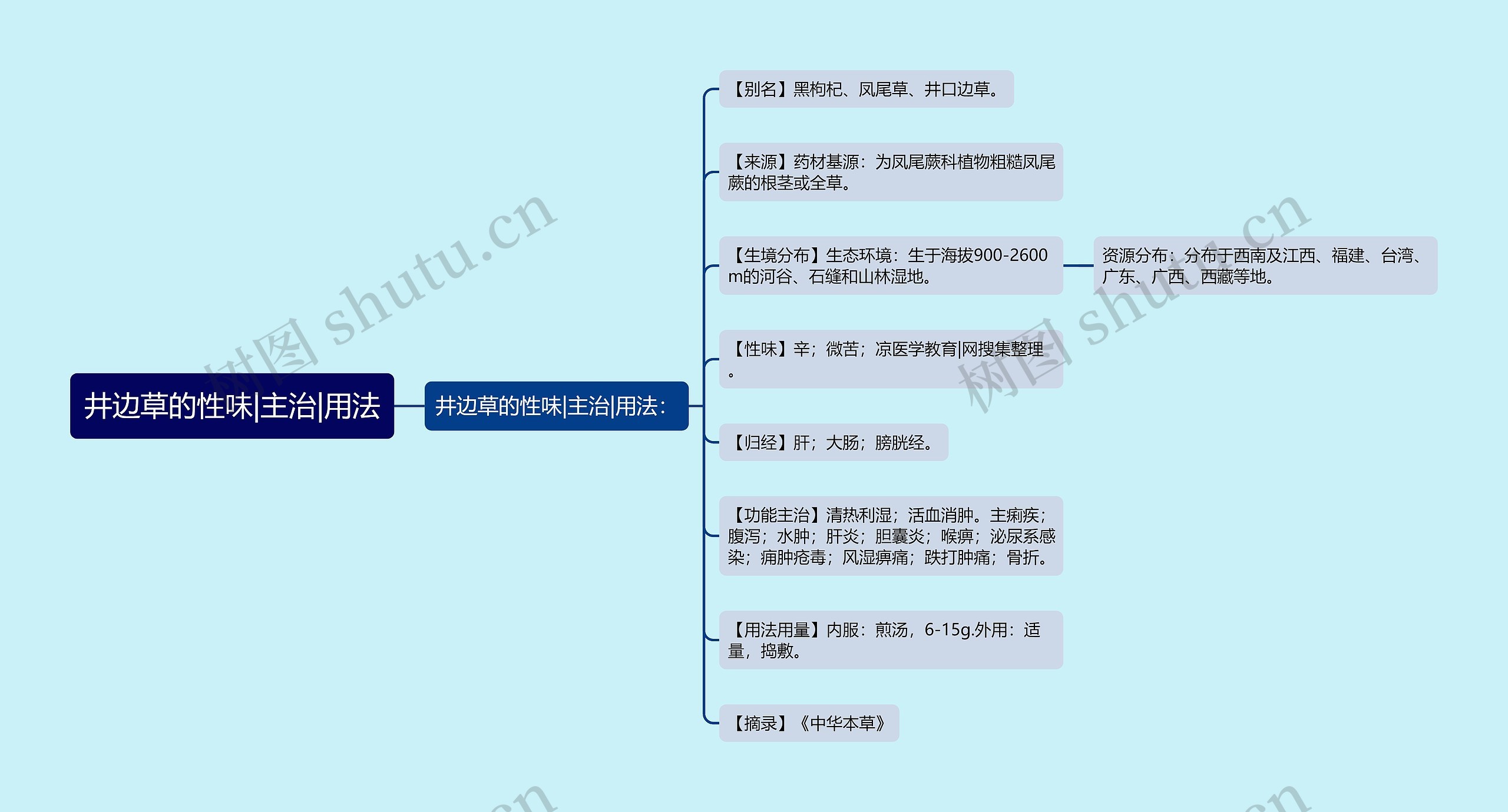 井边草的性味|主治|用法思维导图