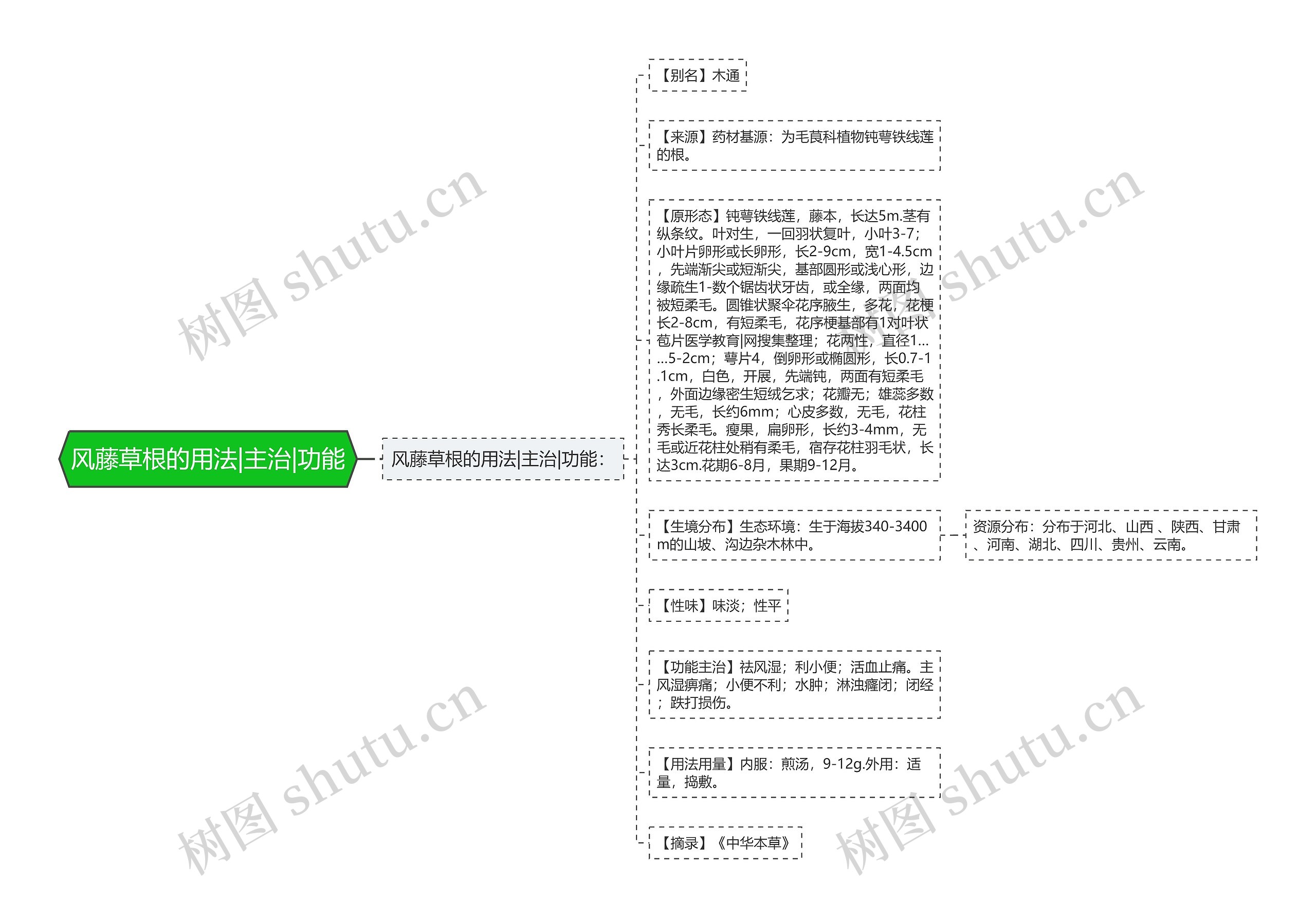 风藤草根的用法|主治|功能思维导图
