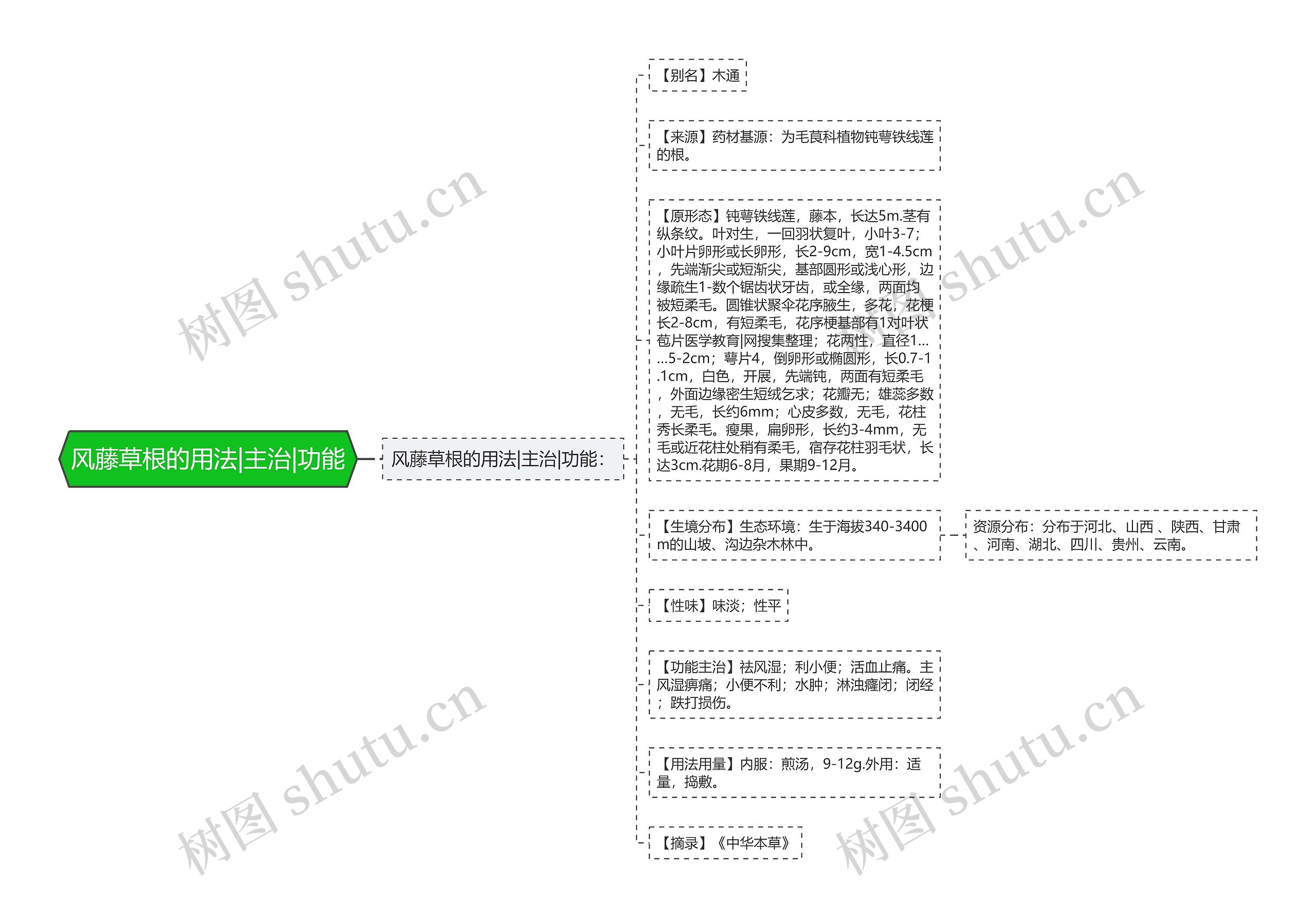 风藤草根的用法|主治|功能 风藤草根的用法|主治|功能