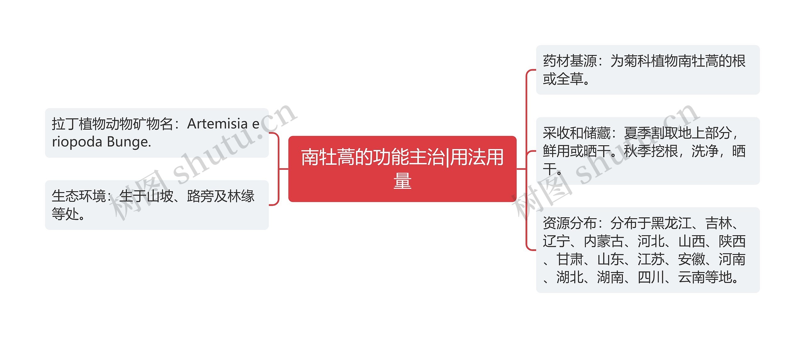 南牡蒿的功能主治|用法用量 南牡蒿的功能主治|用法用量