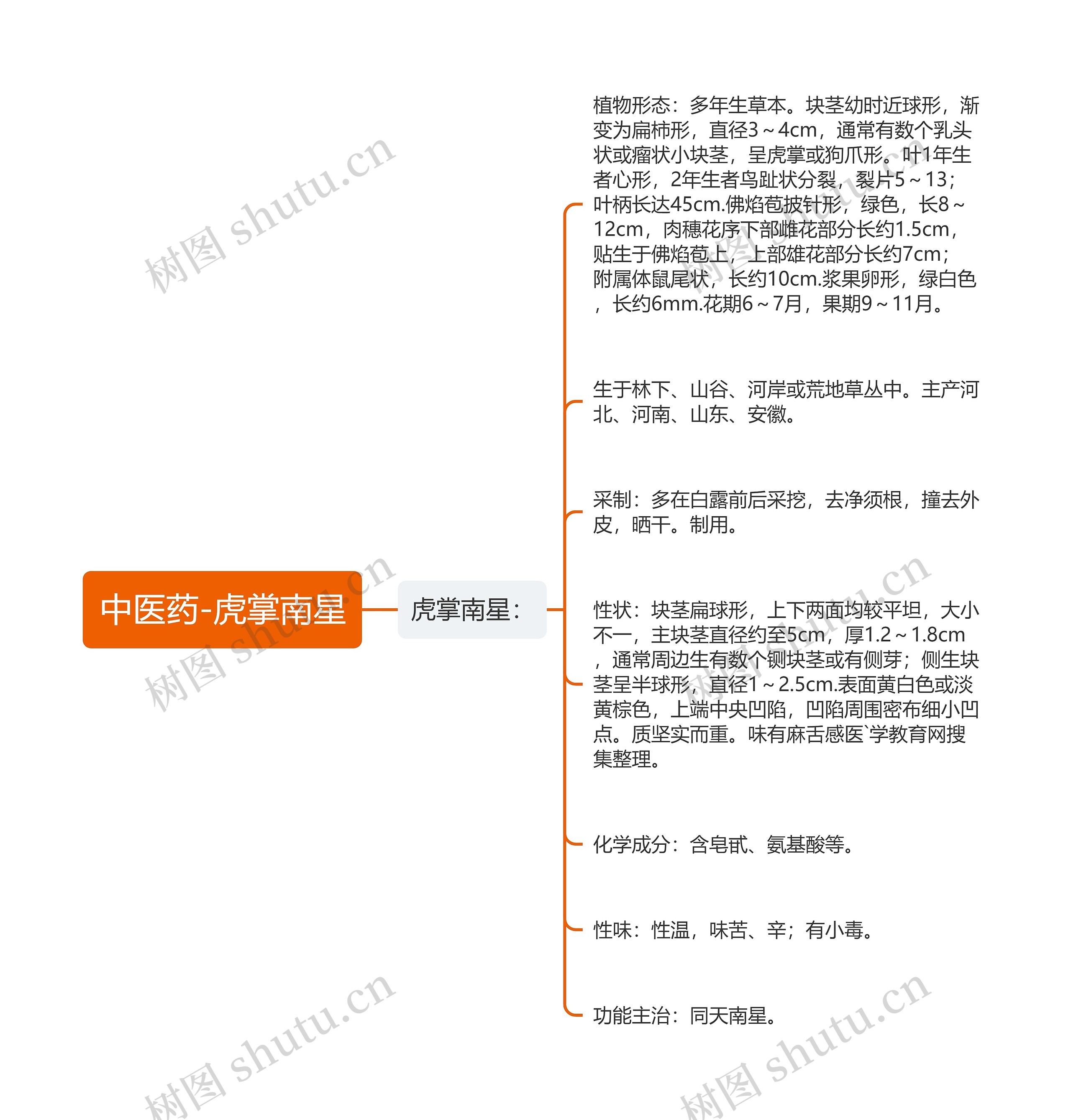 中医药-虎掌南星思维导图