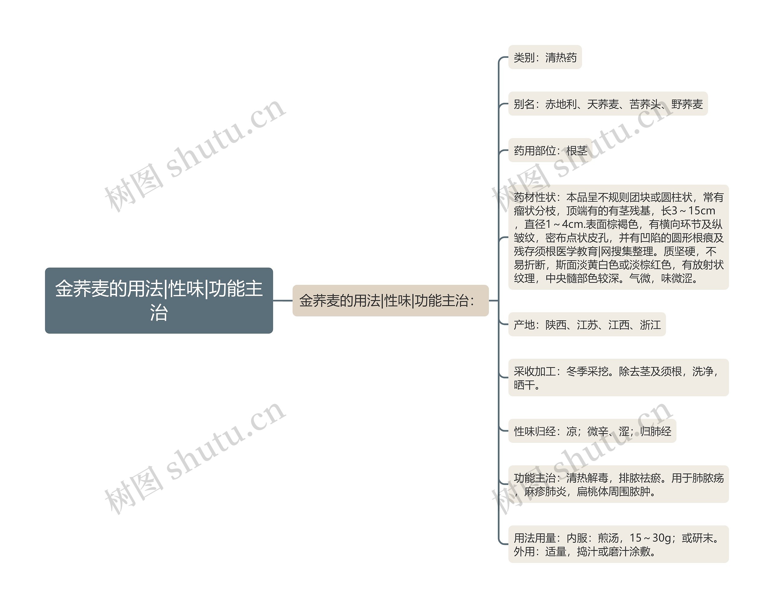 金荞麦的用法|性味|功能主治思维导图