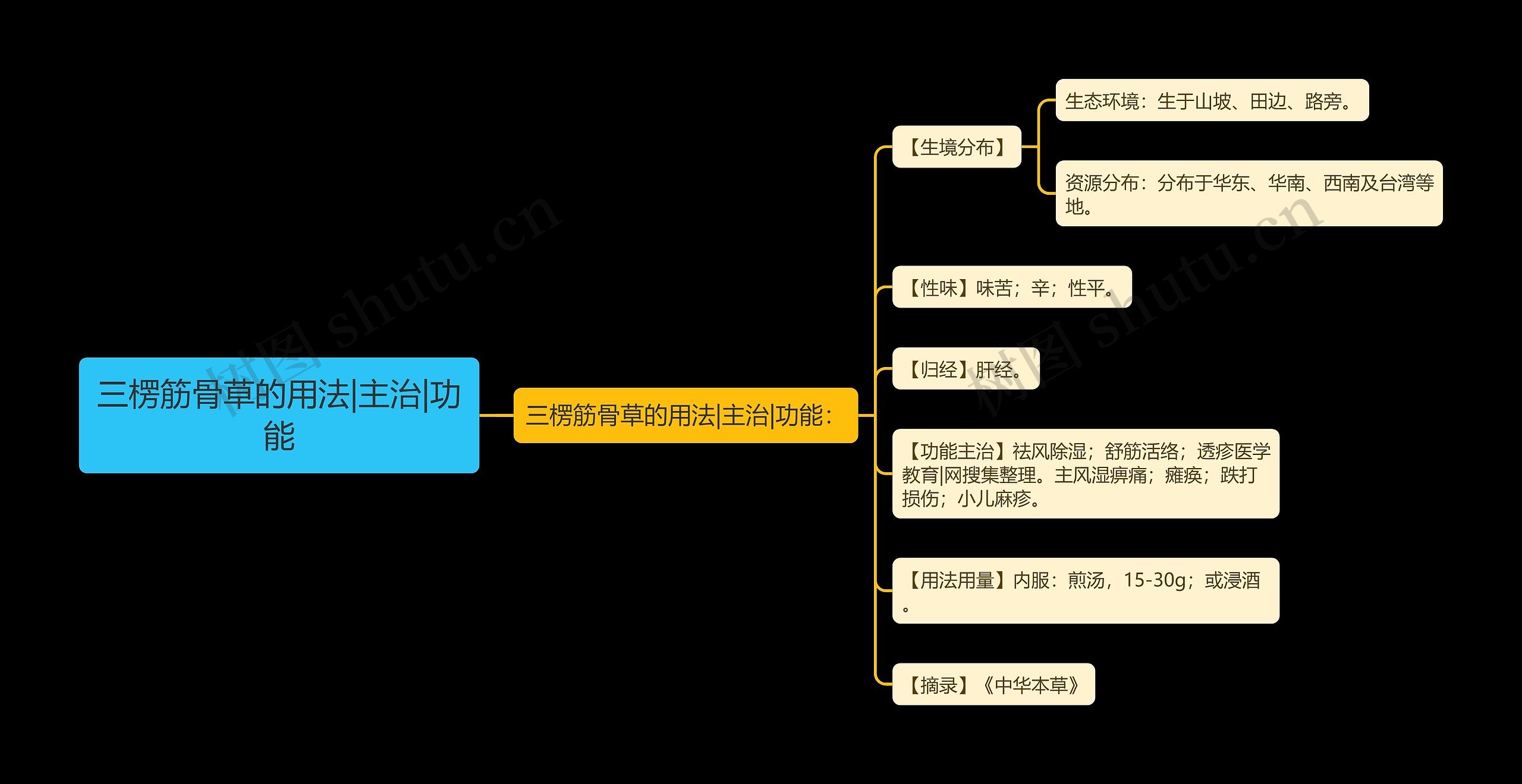 三楞筋骨草的用法|主治|功能思维导图