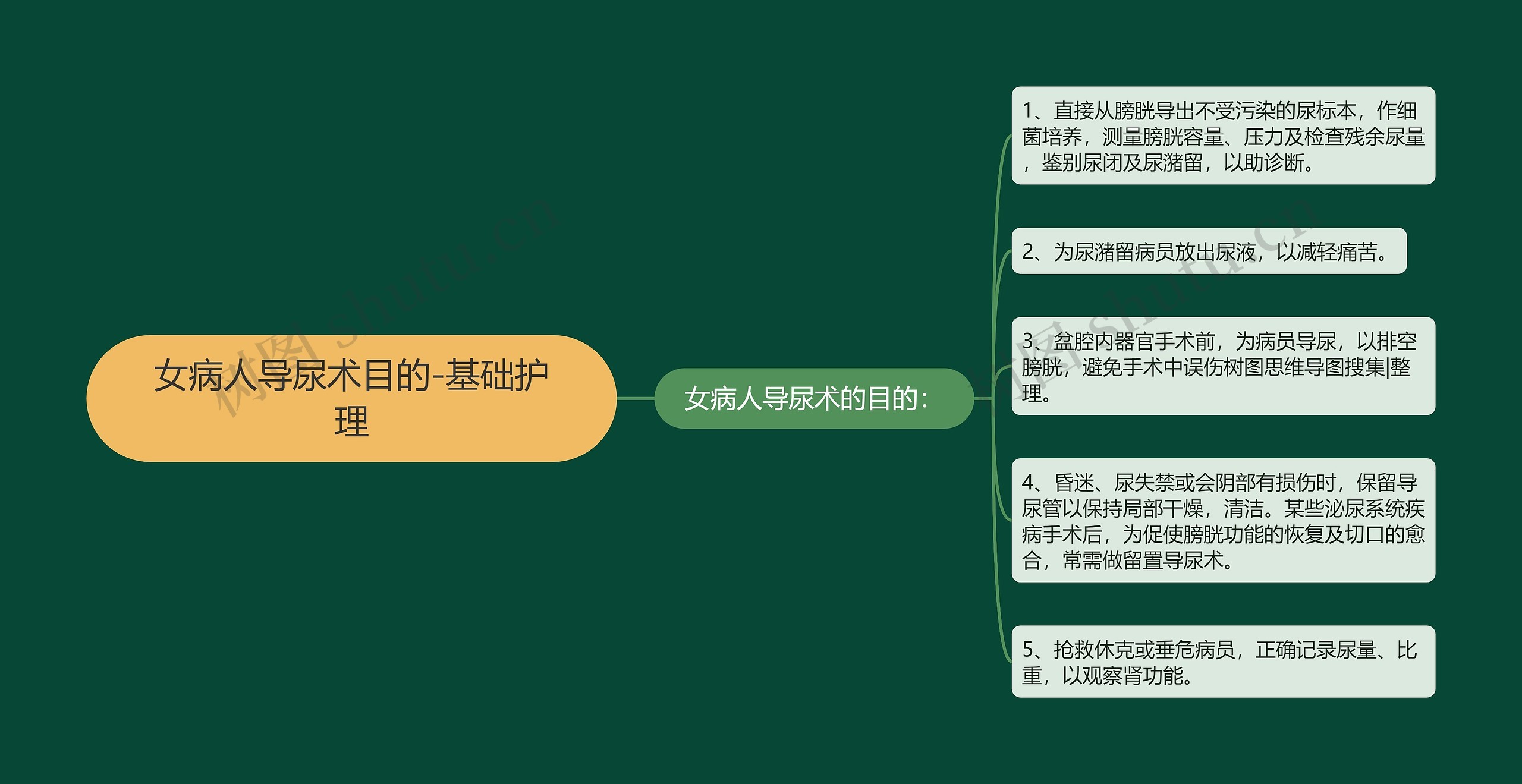 女病人导尿术目的-基础护理 女病人导尿术目的-基础护理