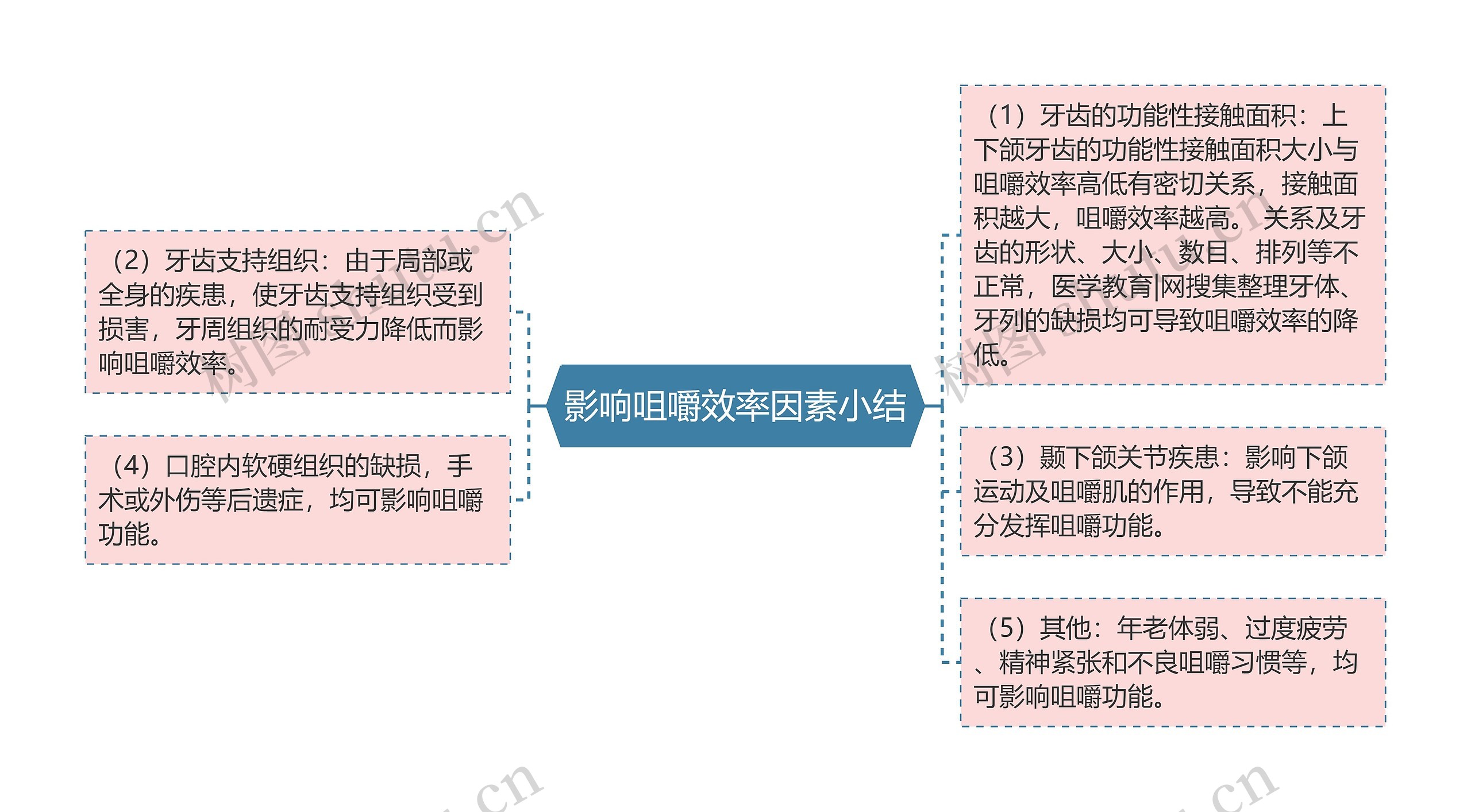 影响咀嚼效率因素小结思维导图