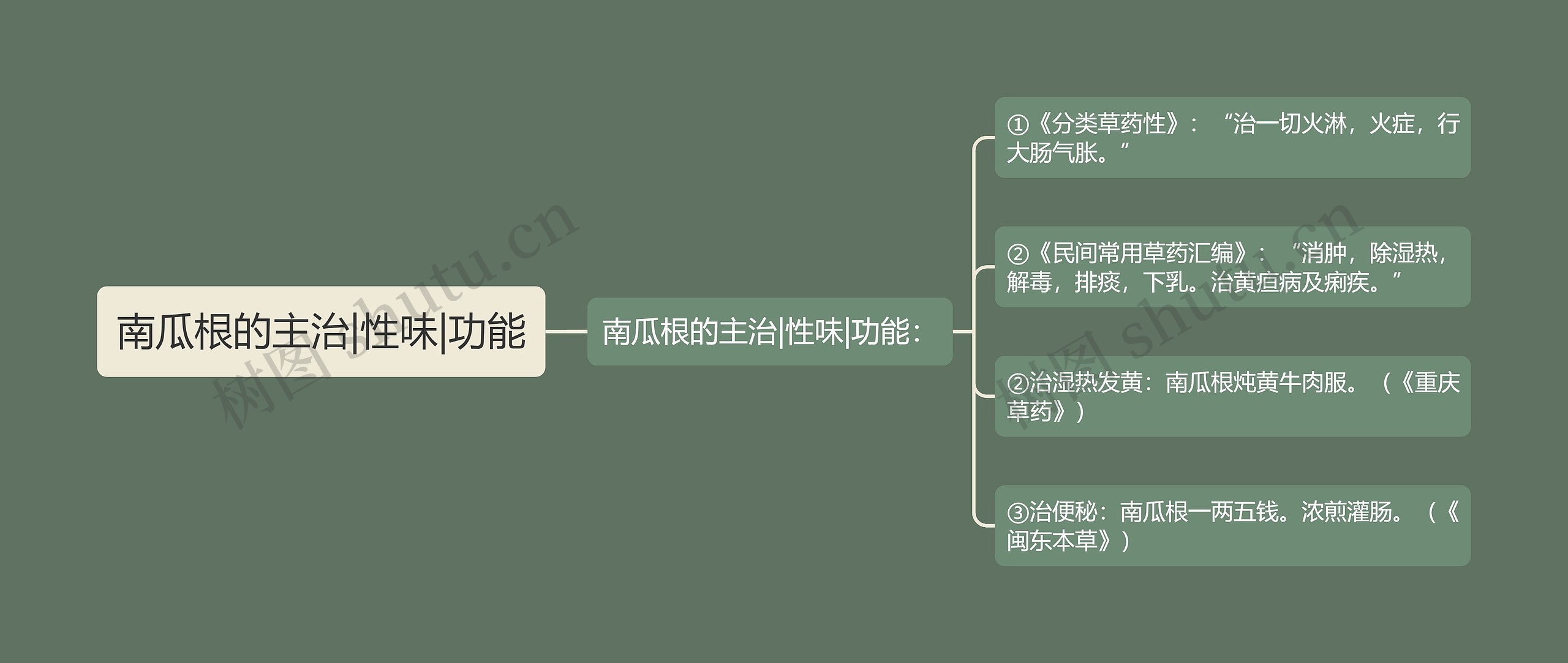 南瓜根的主治|性味|功能思维导图