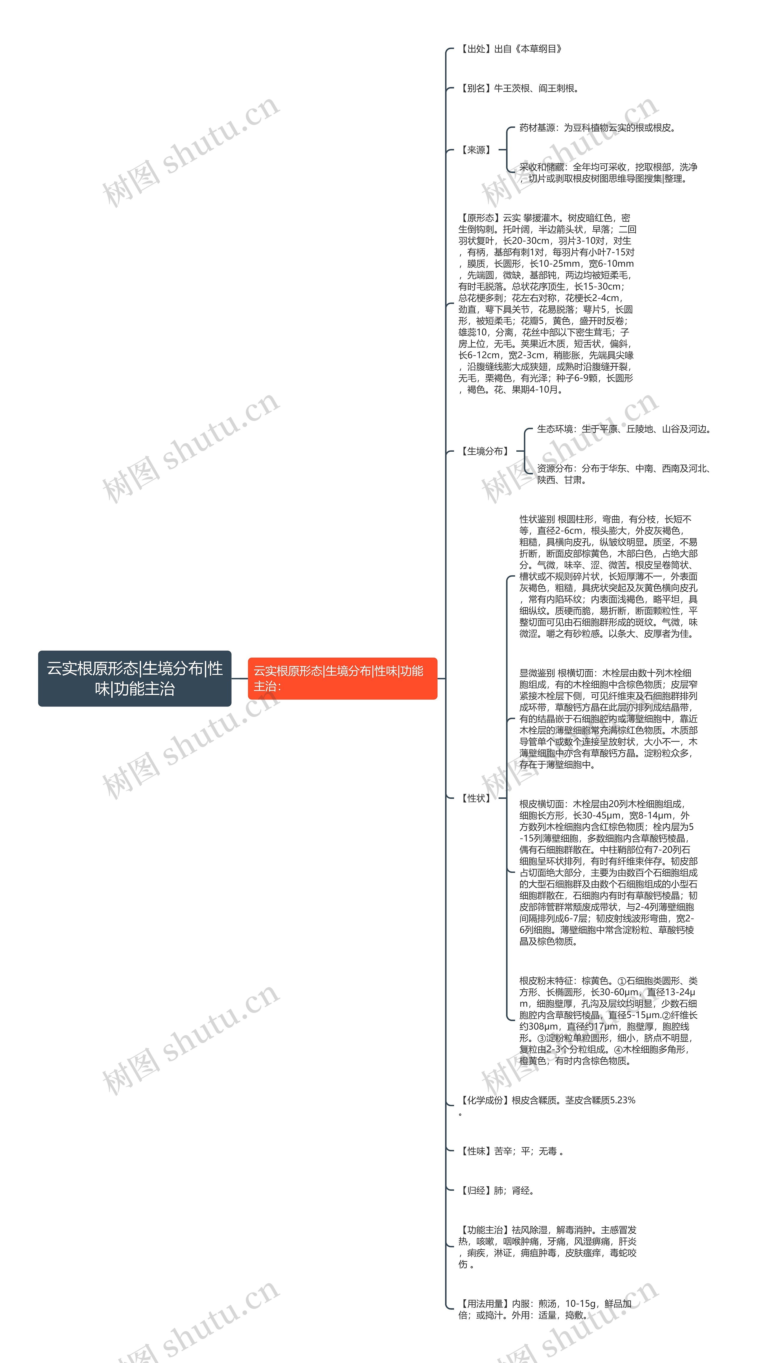 云实根原形态|生境分布|性味|功能主治