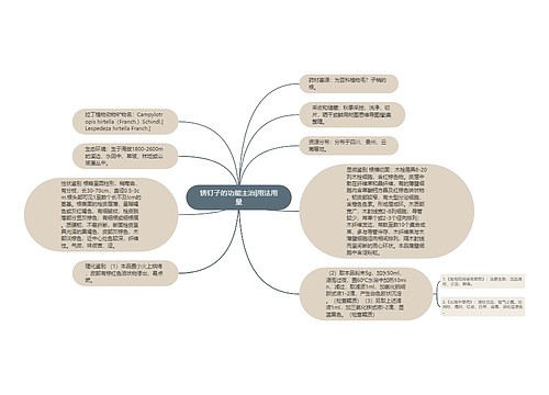 锈钉子的功能主治|用法用量