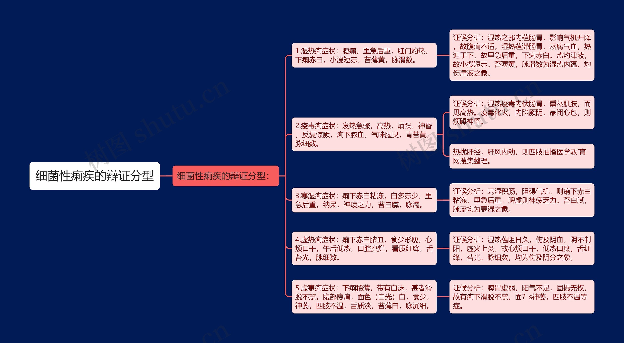 细菌性痢疾的辩证分型思维导图
