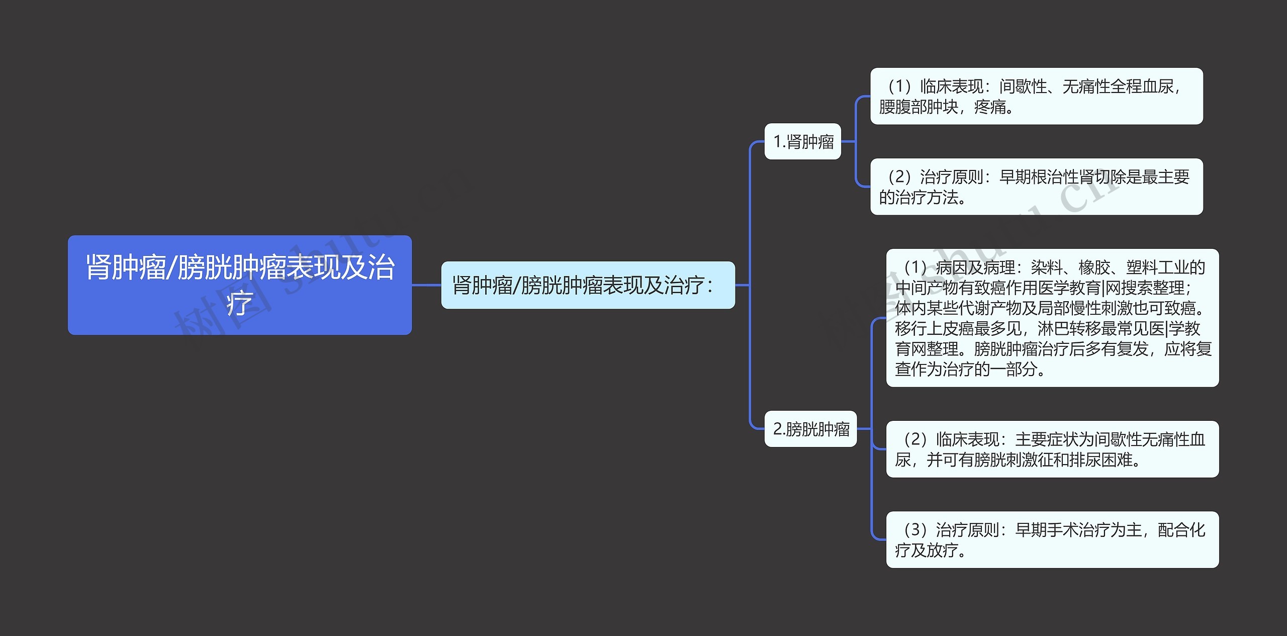 肾肿瘤/膀胱肿瘤表现及治疗思维导图