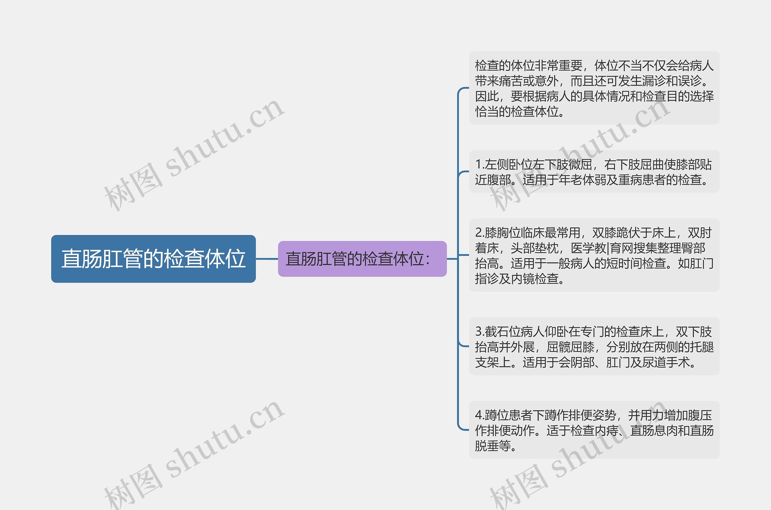 直肠肛管的检查体位思维导图