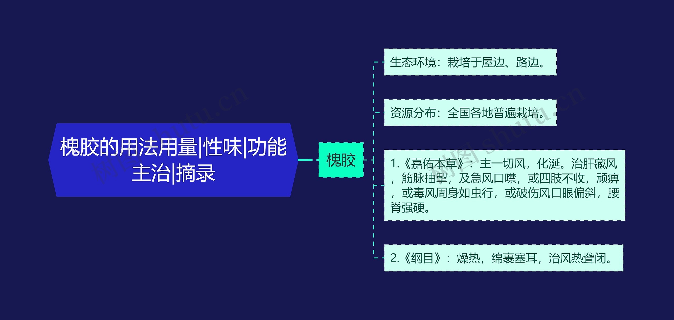 槐胶的用法用量|性味|功能主治|摘录