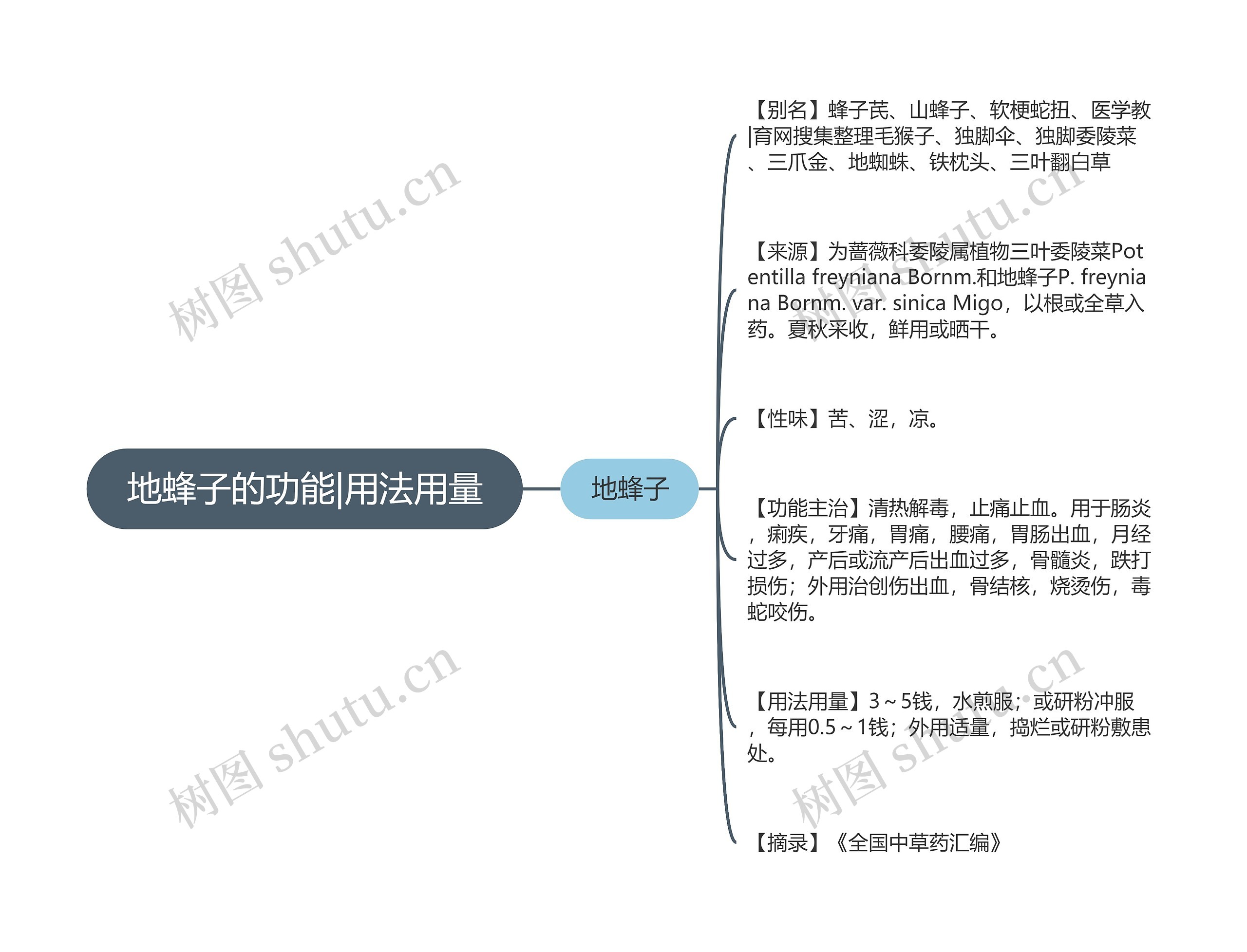 地蜂子的功能|用法用量思维导图