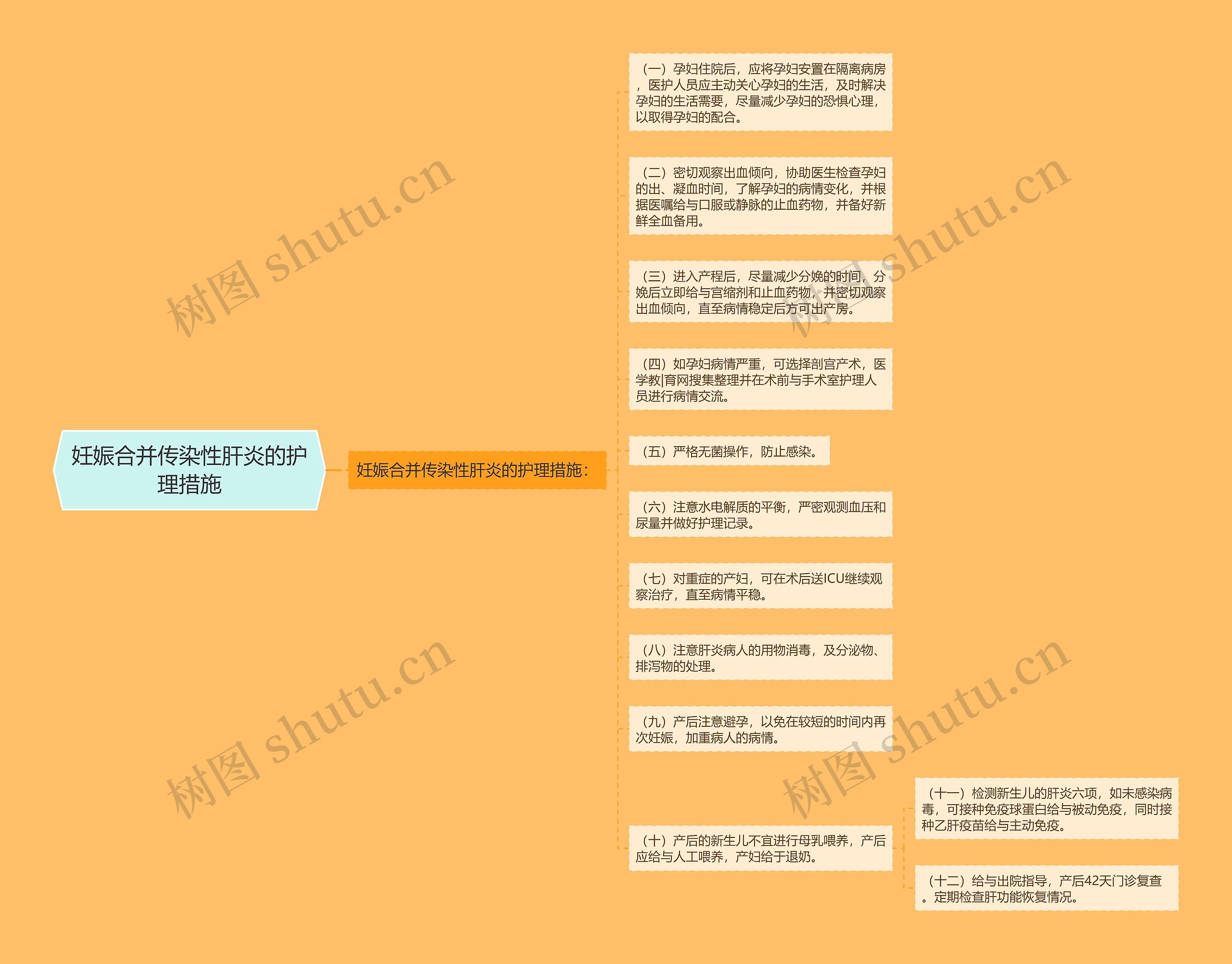 妊娠合并传染性肝炎的护理措施思维导图