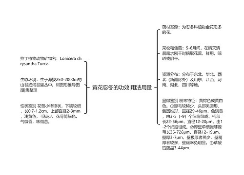 黄花忍冬的功效|用法用量