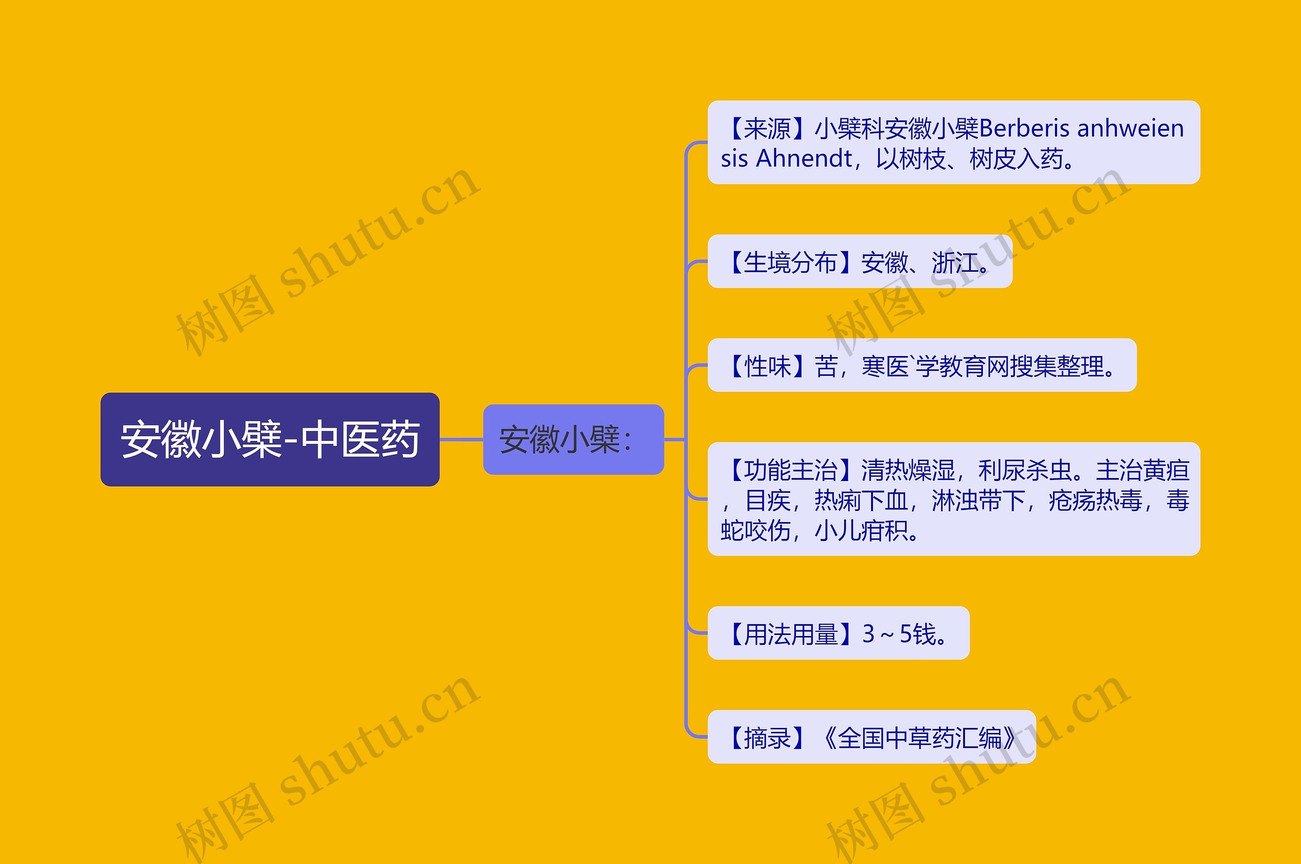 安徽小檗-中医药思维导图