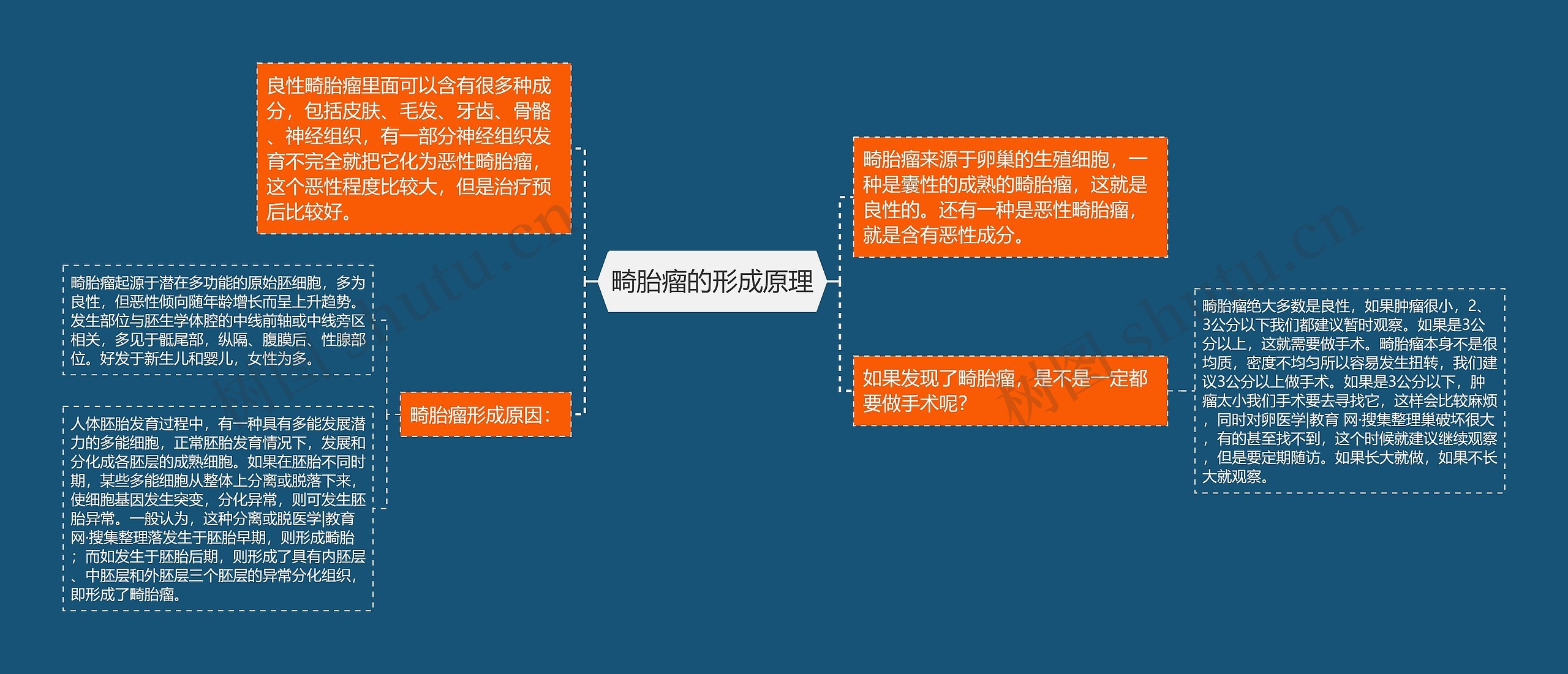 畸胎瘤的形成原理思维导图