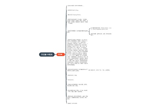 百足藤-中医药