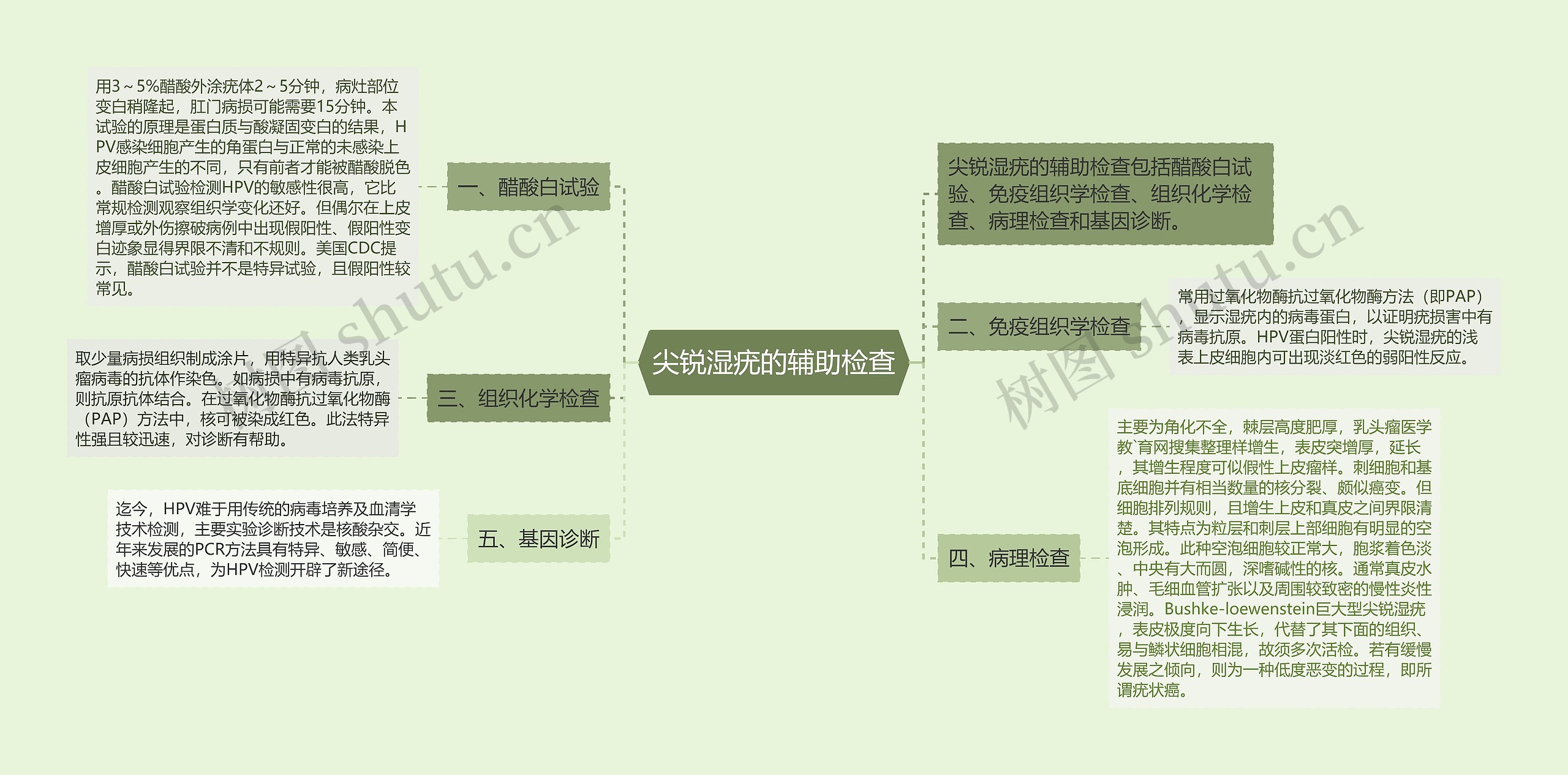 尖锐湿疣的辅助检查思维导图