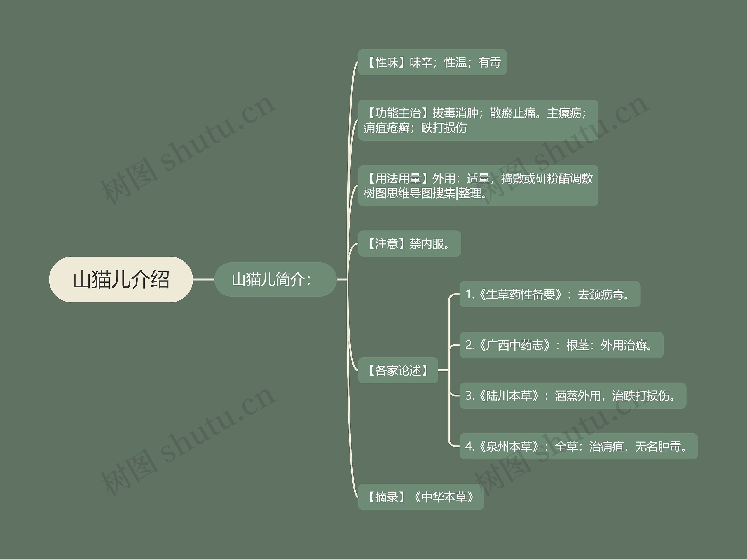 山猫儿介绍 山猫儿介绍