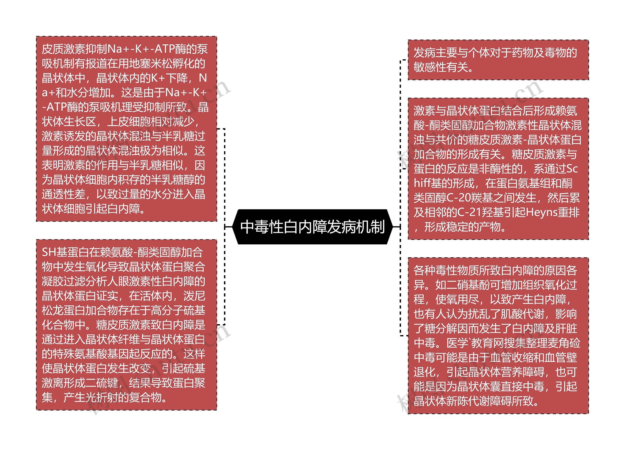 中毒性白内障发病机制思维导图