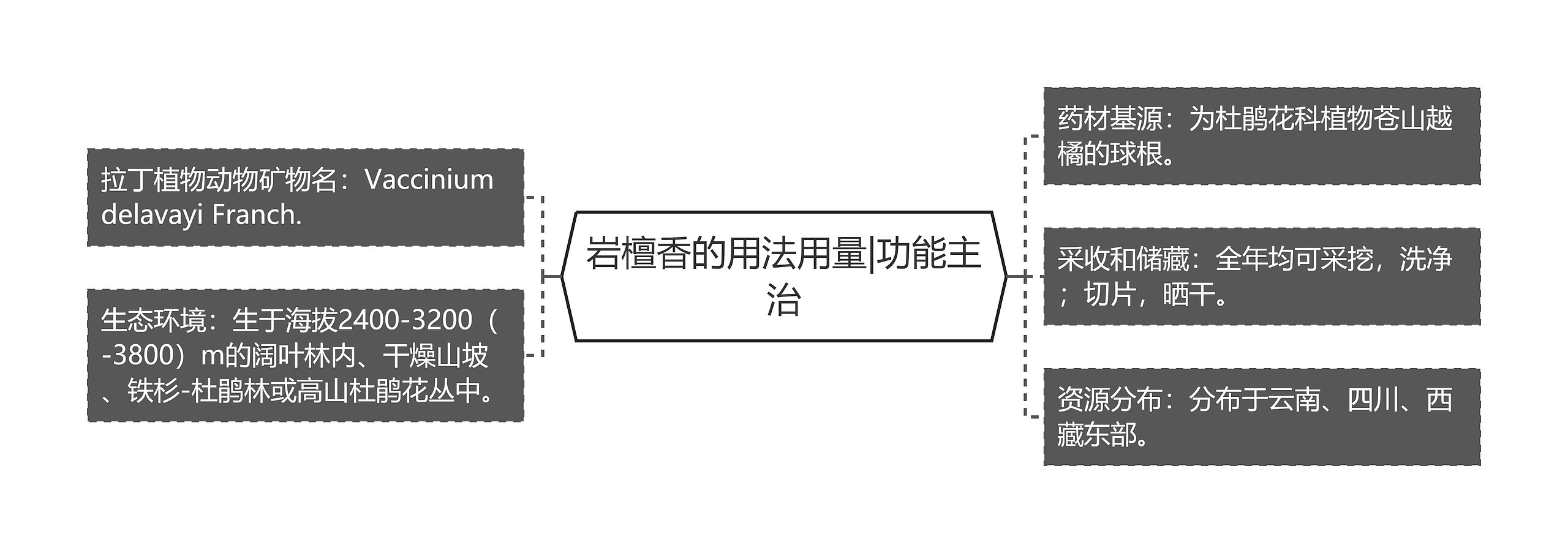 岩檀香的用法用量|功能主治思维导图