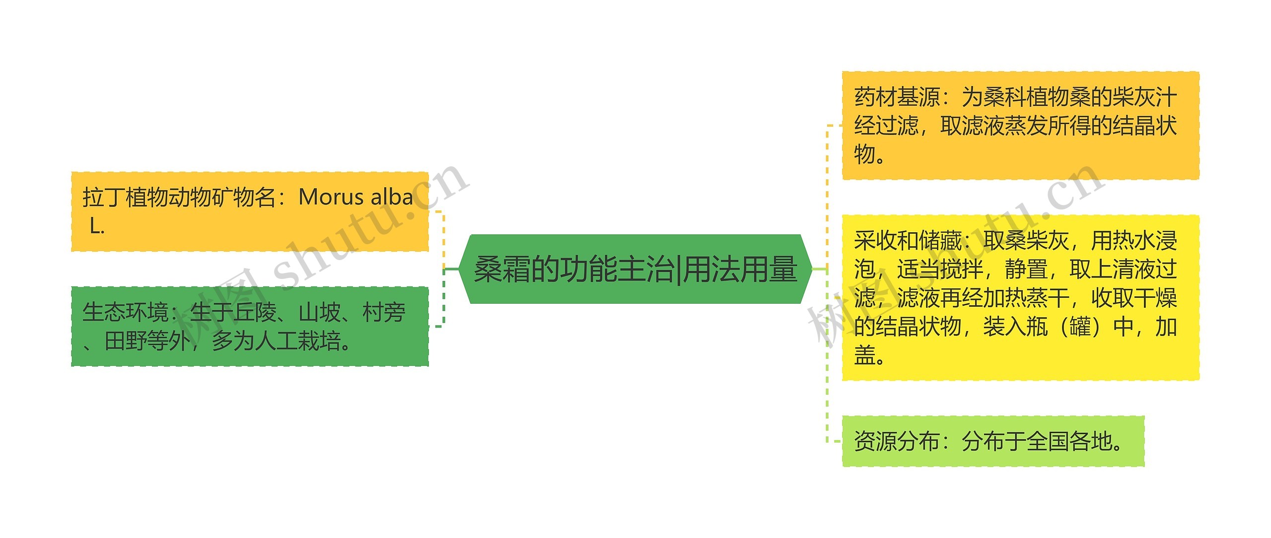 桑霜的功能主治|用法用量思维导图