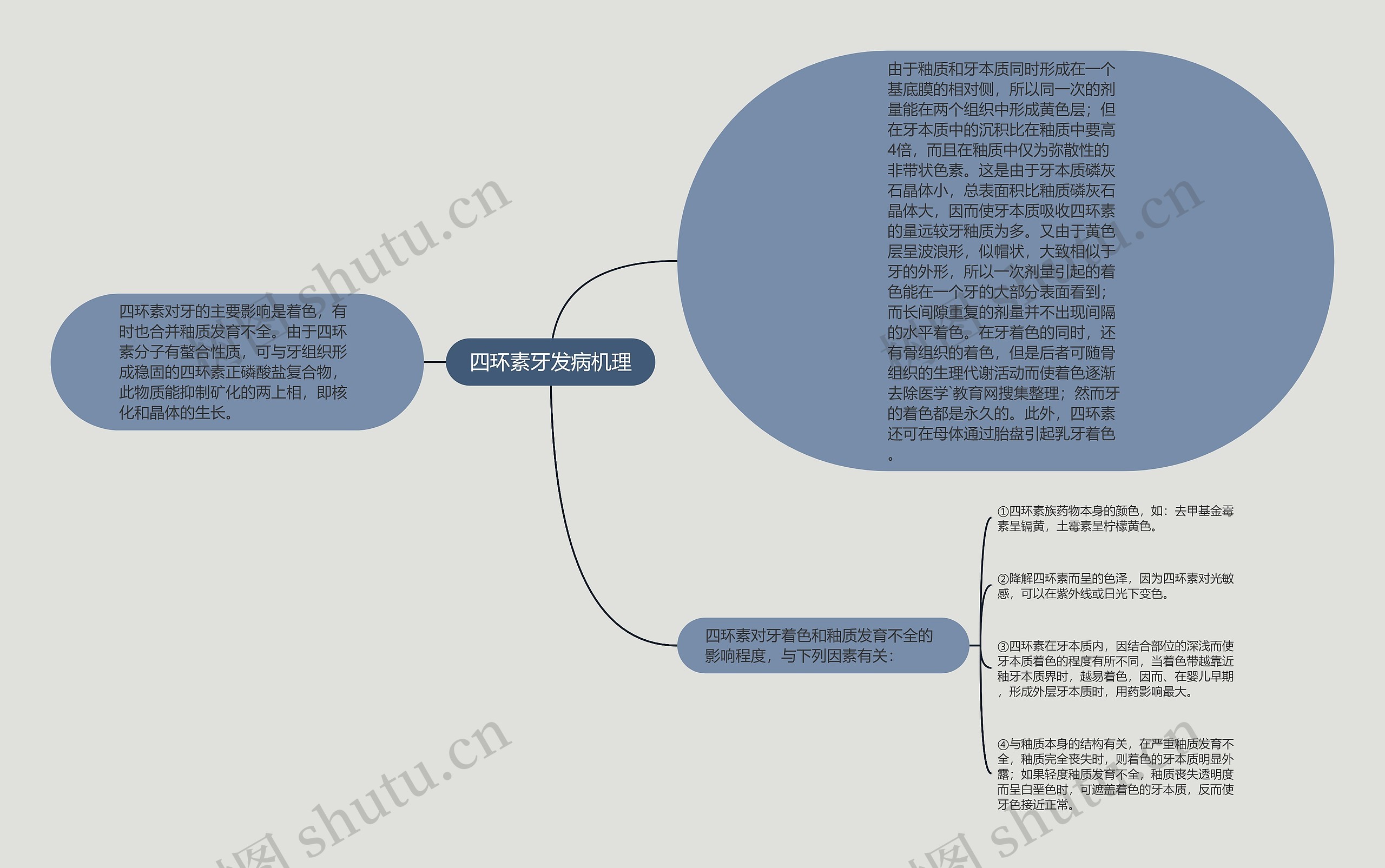 四环素牙发病机理思维导图