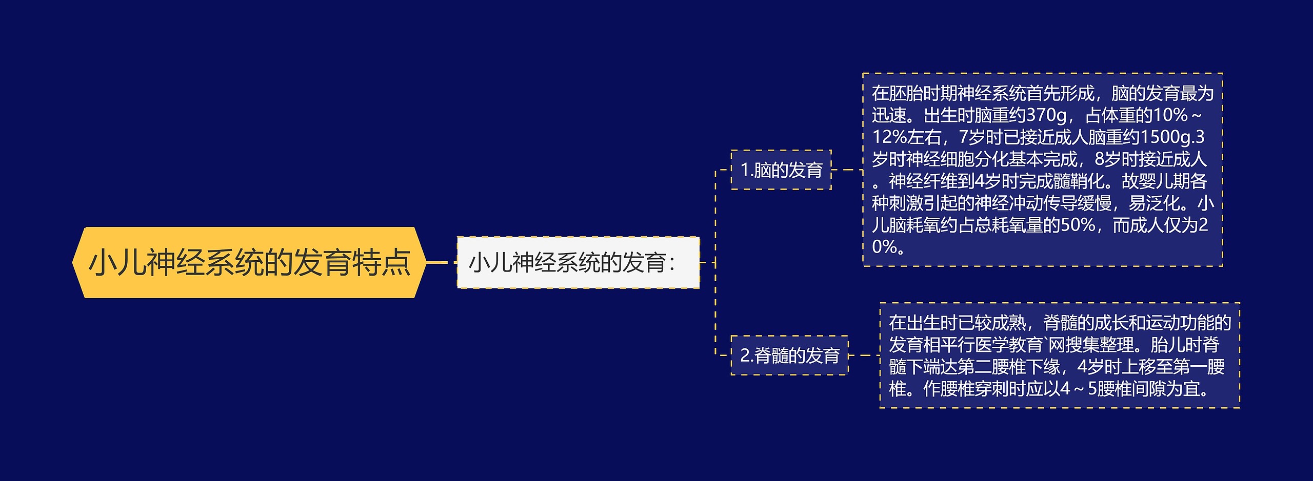 小儿神经系统的发育特点思维导图