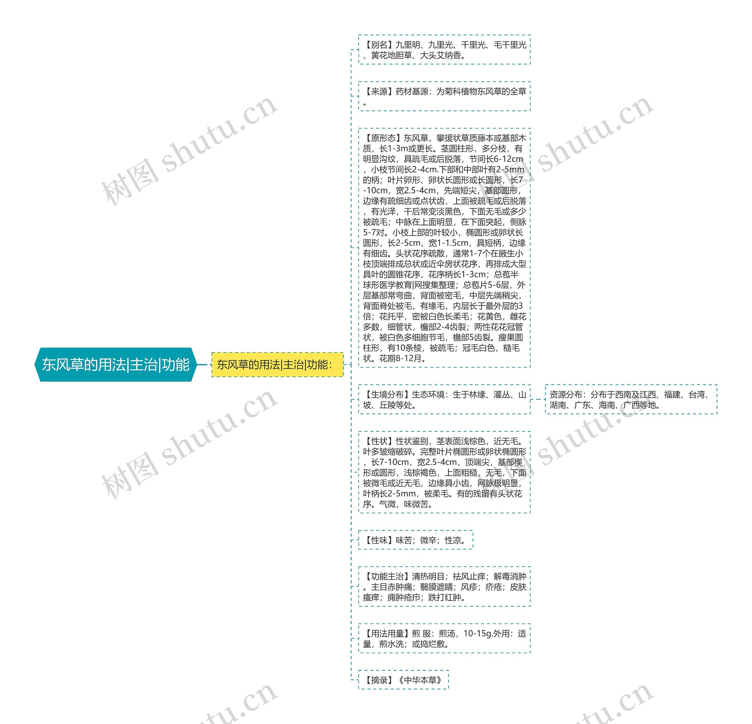 东风草的用法|主治|功能思维导图